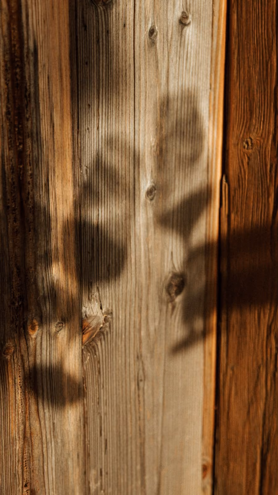 Die Schatten zweier Sektgläser auf rustikalem Holz.