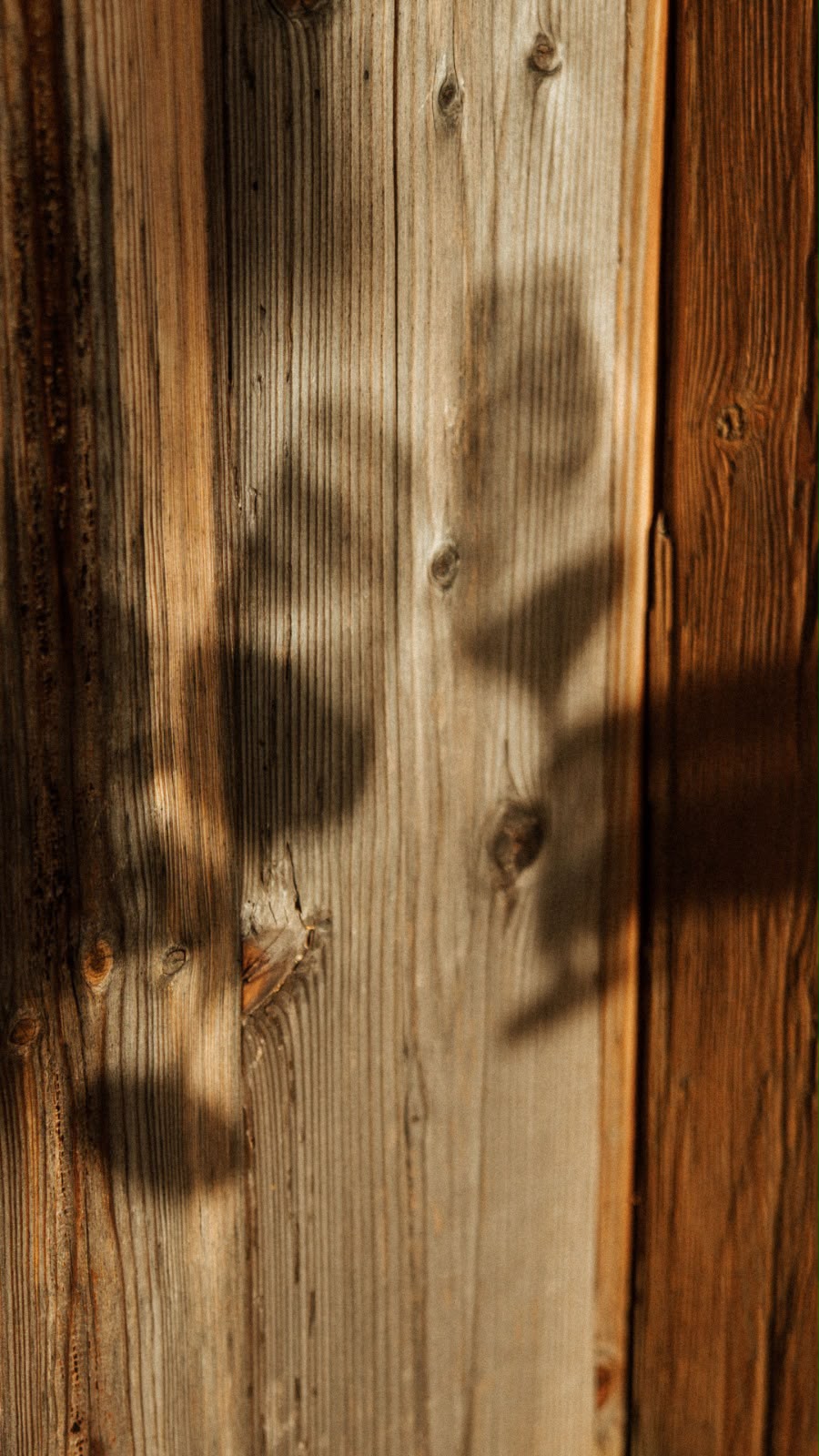 Die Schatten zweier Sektgläser auf rustikalem Holz.