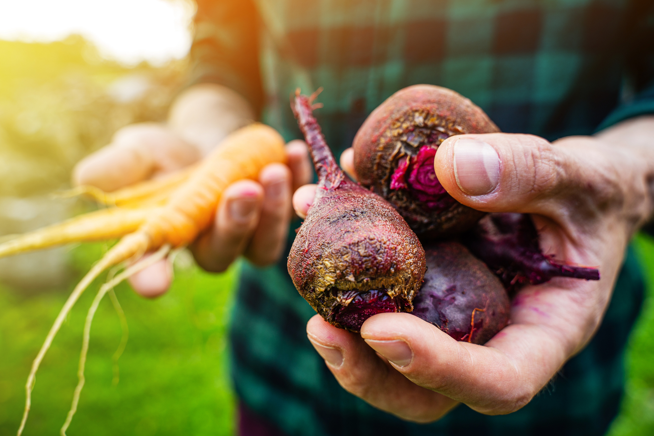 Des produits frais en direct de producteurs