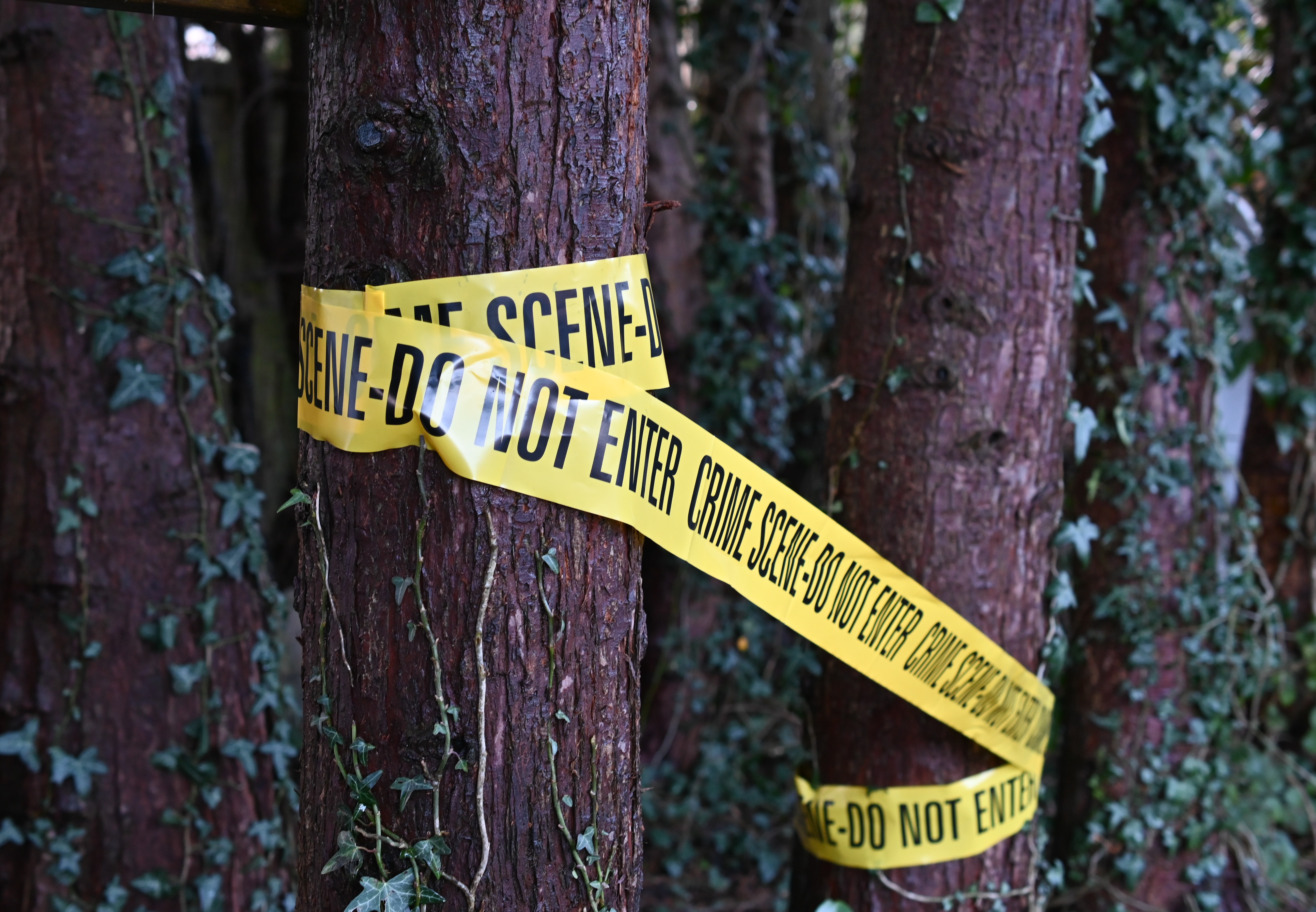 Why brands should sponsor True Crime podcasts