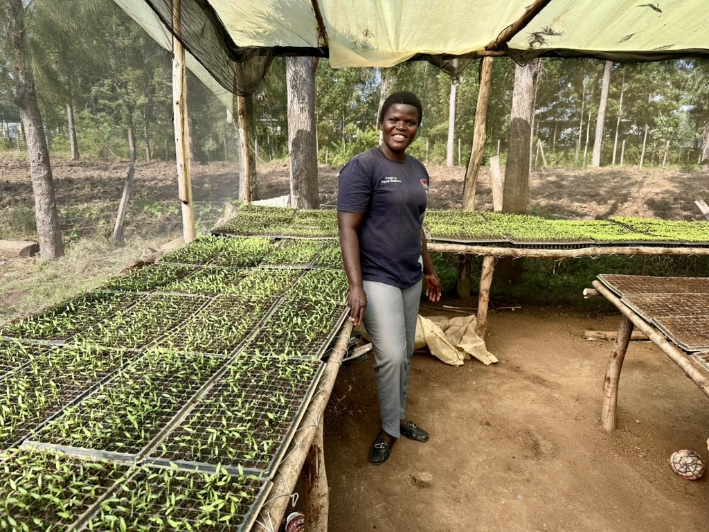A woman stands smiling beside rows of young seedlings on raised trays inside a shaded plant nursery.