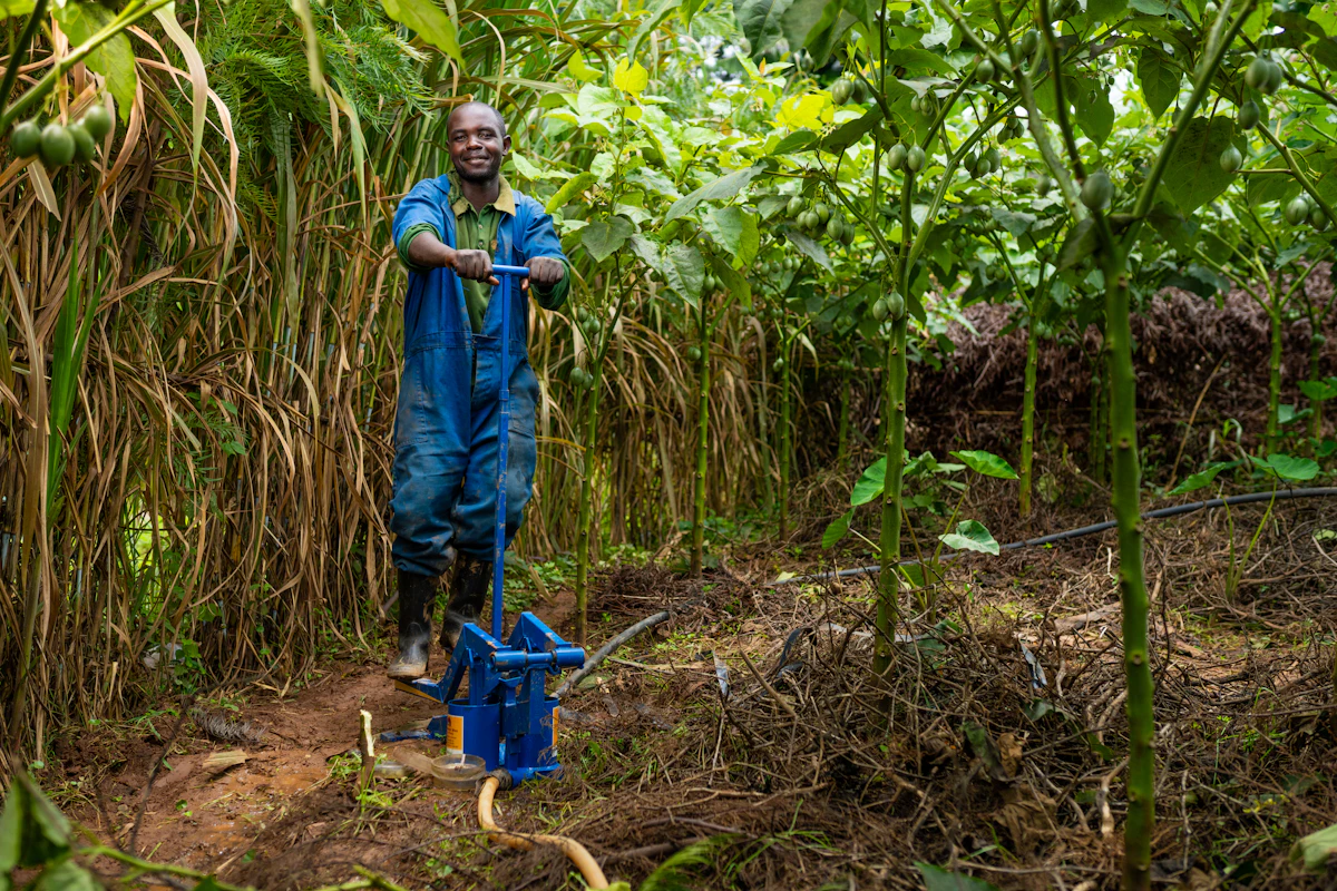 Bosco, a smallholder farmer in western Rwanda, operates a KickStart irrigation pump on his hillside farm surrounded by tomato trees and crops.