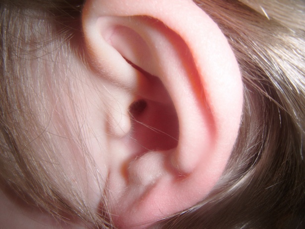 What Are The Common Causes of Tinnitus in Adults?