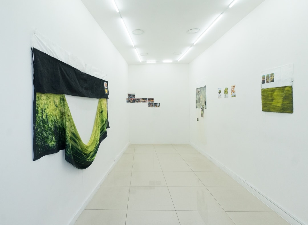 Mandy Franca, Installation View 'CAJU / KASHU / CAYÚ', Harlesden High Street. Image courtesy Harlesden High Street and the artist