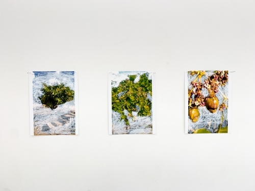 Mandy Franca, 'Kashu', 2022, C-type, Oil Pastels, 20 x 15.5 cm. Image courtesy Harlesden High Street and the artist