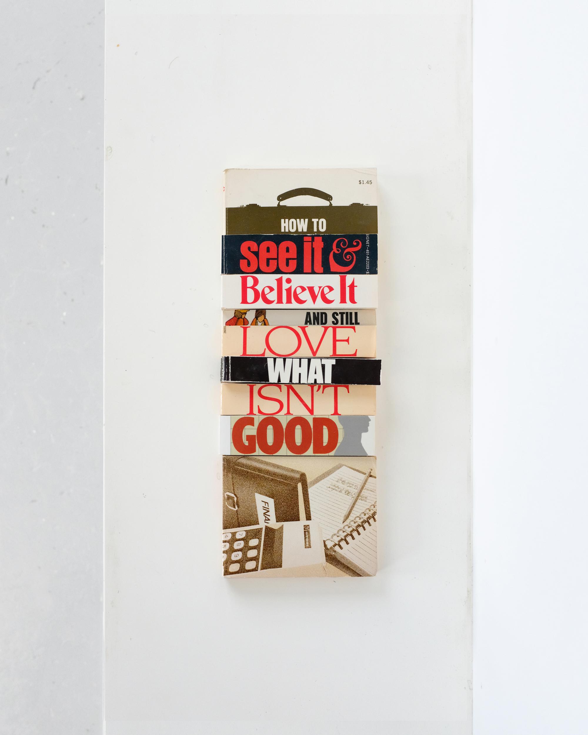 HOW TO see it & Believe It AND STILL LOVE WHAT ISN’T GOOD, 2025 Spliced self-help books 28 x 11 cm