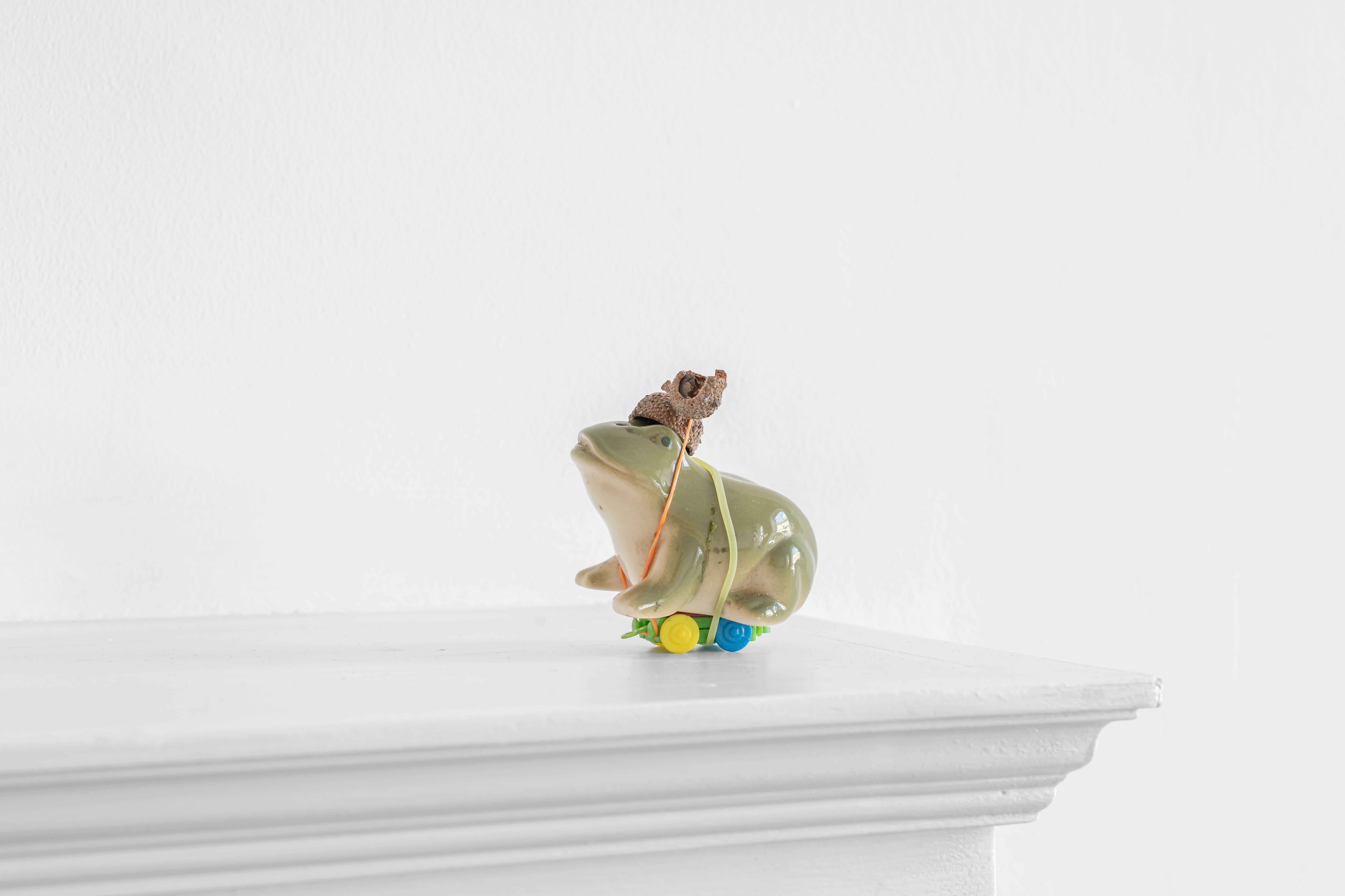 P.P.S., Untitled Frog, acorn hat, elastic bands, wheels, 2024
