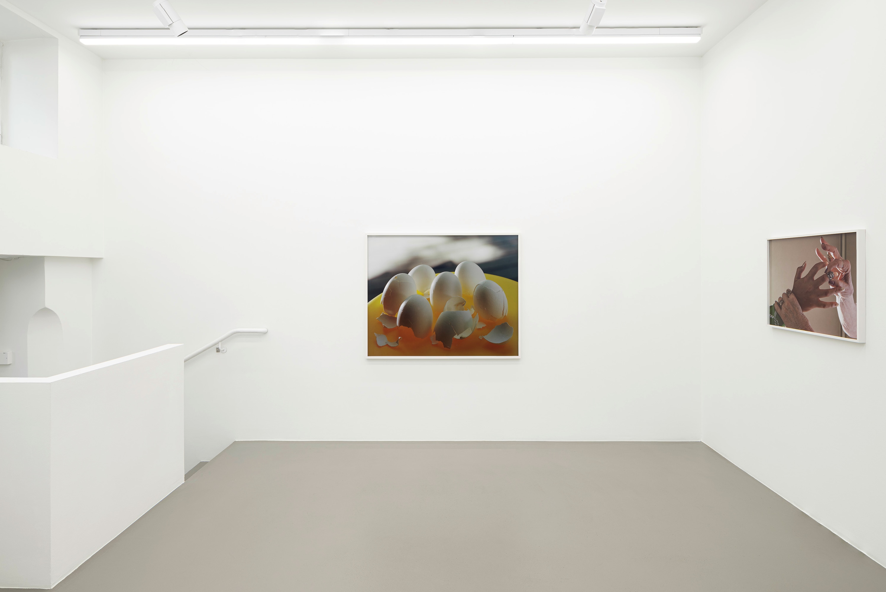 Installation view, Torbjørn Rødland, Slow Life Strategies, courtesy of Galerie Eva Presenhuber, Vienna, 2025