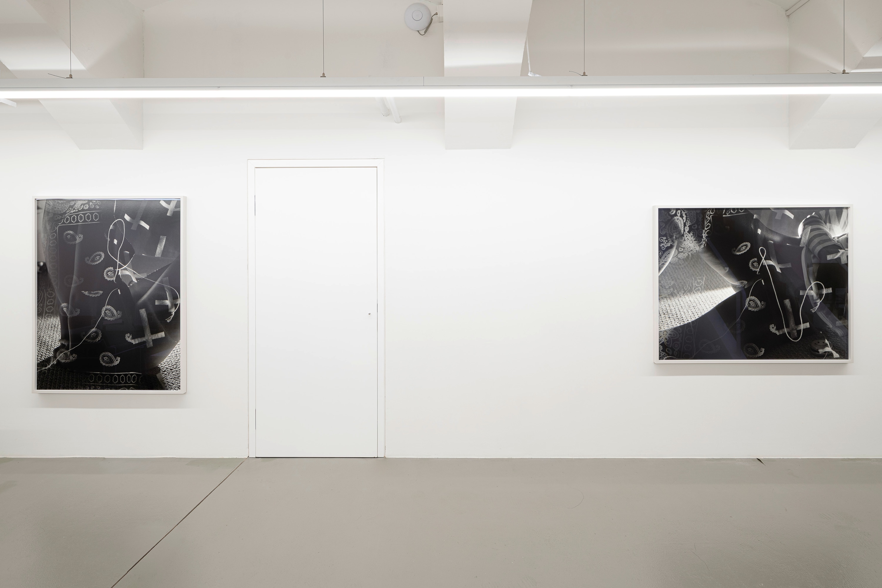 Installation view, Torbjørn Rødland, Slow Life Strategies, courtesy of Galerie Eva Presenhuber, Vienna, 2025