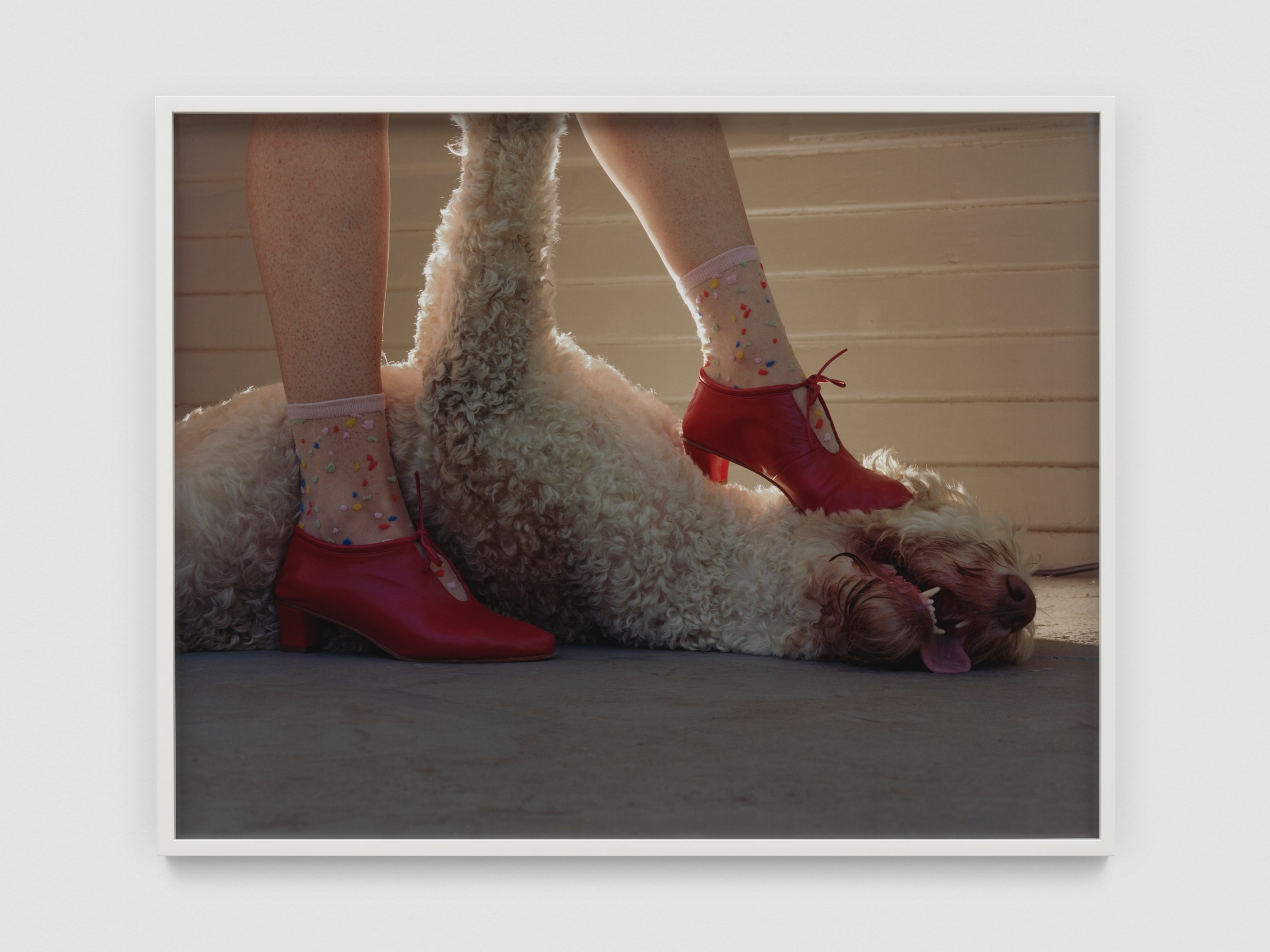 Submissive Companion, 2022, Chromogenic print on Kodak Endura paper, Image 60 x 76 cm / 23 5/8 x 29 7/8 in, Frame 61.5 x 77.5 x 3.5 cm / 24 1/4 x 30 1/2 x 1 3/8 in, © Torbjørn Rødland, courtesy of Galerie Eva Presenhuber