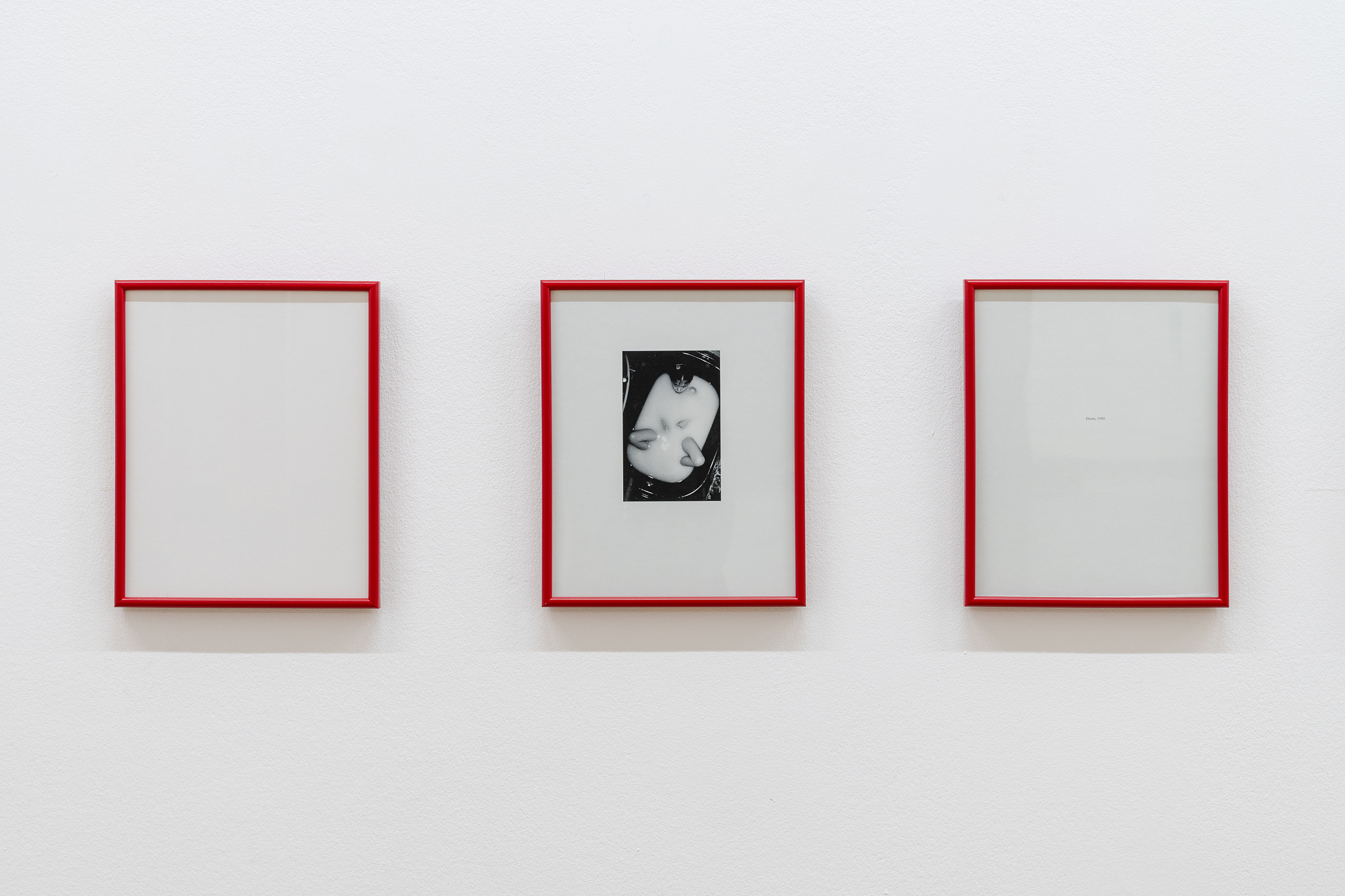 Installation View, Images courtesy of Culturgest, Porto. Photos by Dinis Santos.