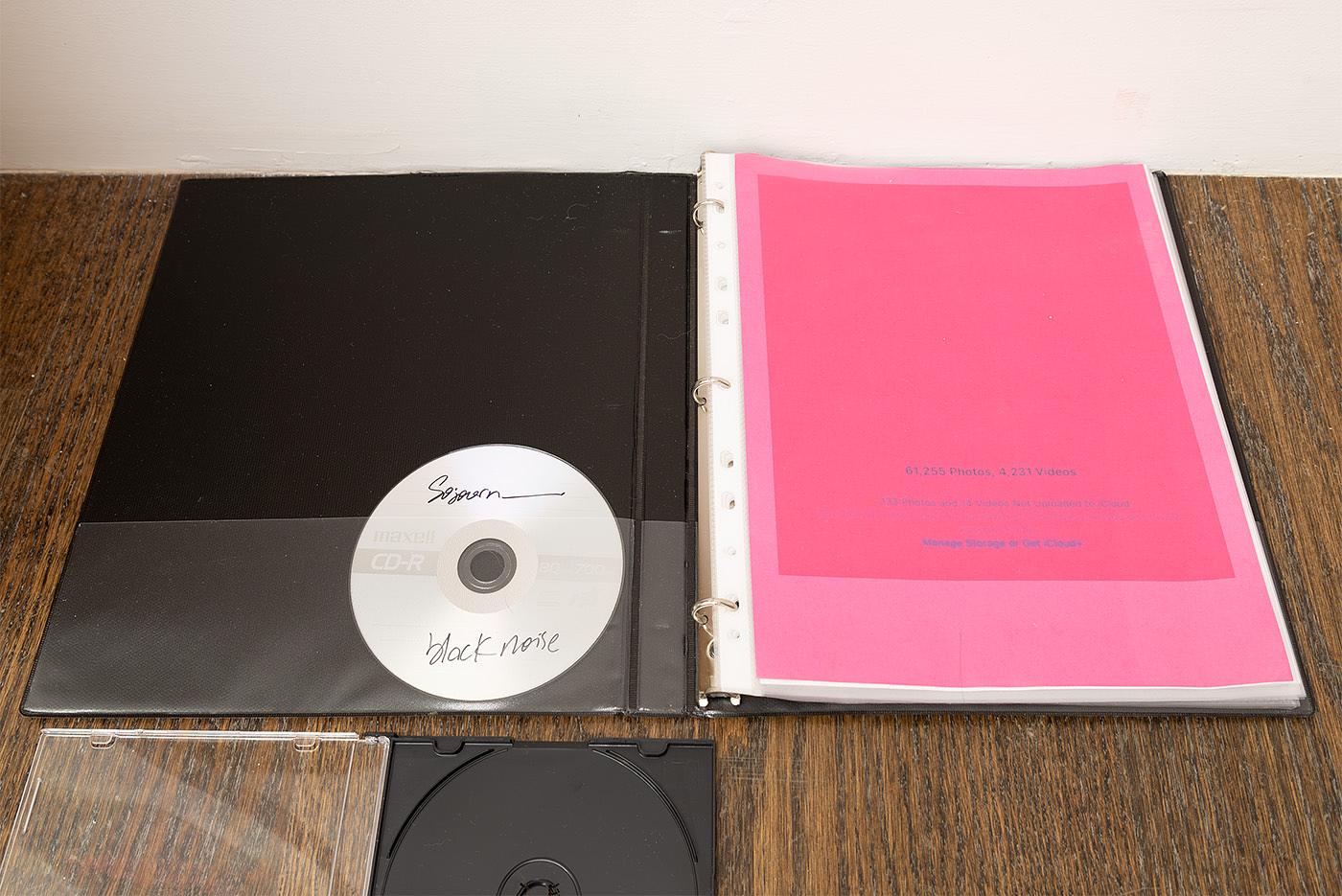 Binder (Pink), 2025, Inkjet prints, cellophane sleeves, binder, 11.5 x 21 x 1 in (29.2 x 53.3 x 2.5 cm) Open 11.5 x 10 x 1 in (29.2 x 25.4 x 2.5 cm) Closed. Courtesy of the artist and Derosia.