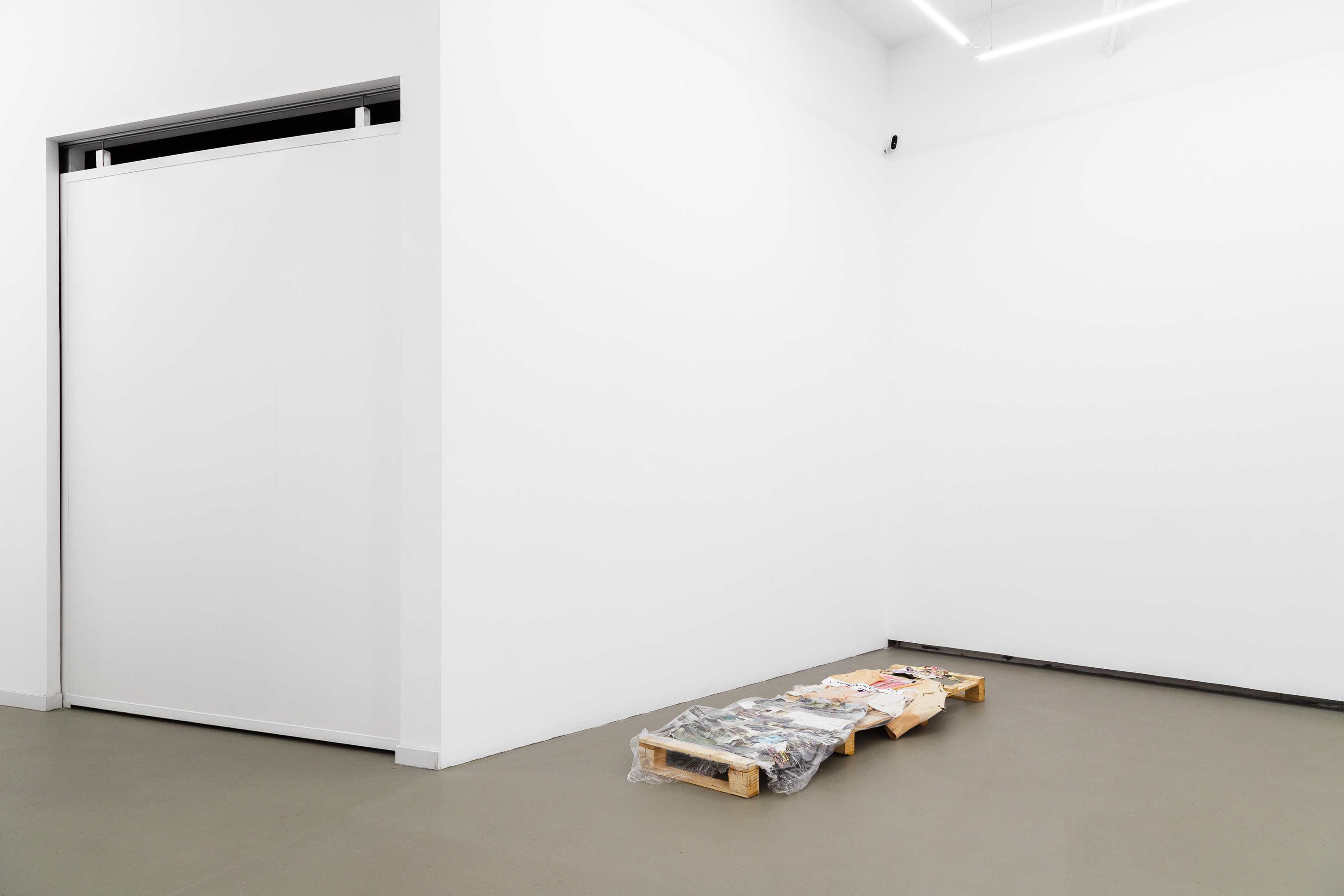 Installation View, The Giants of the Circle & with The Birds of Circus, The Hawk Looks out with The Golden Eagle (2025), Adult & Juvenile, Courtesy of CIBRIÁN