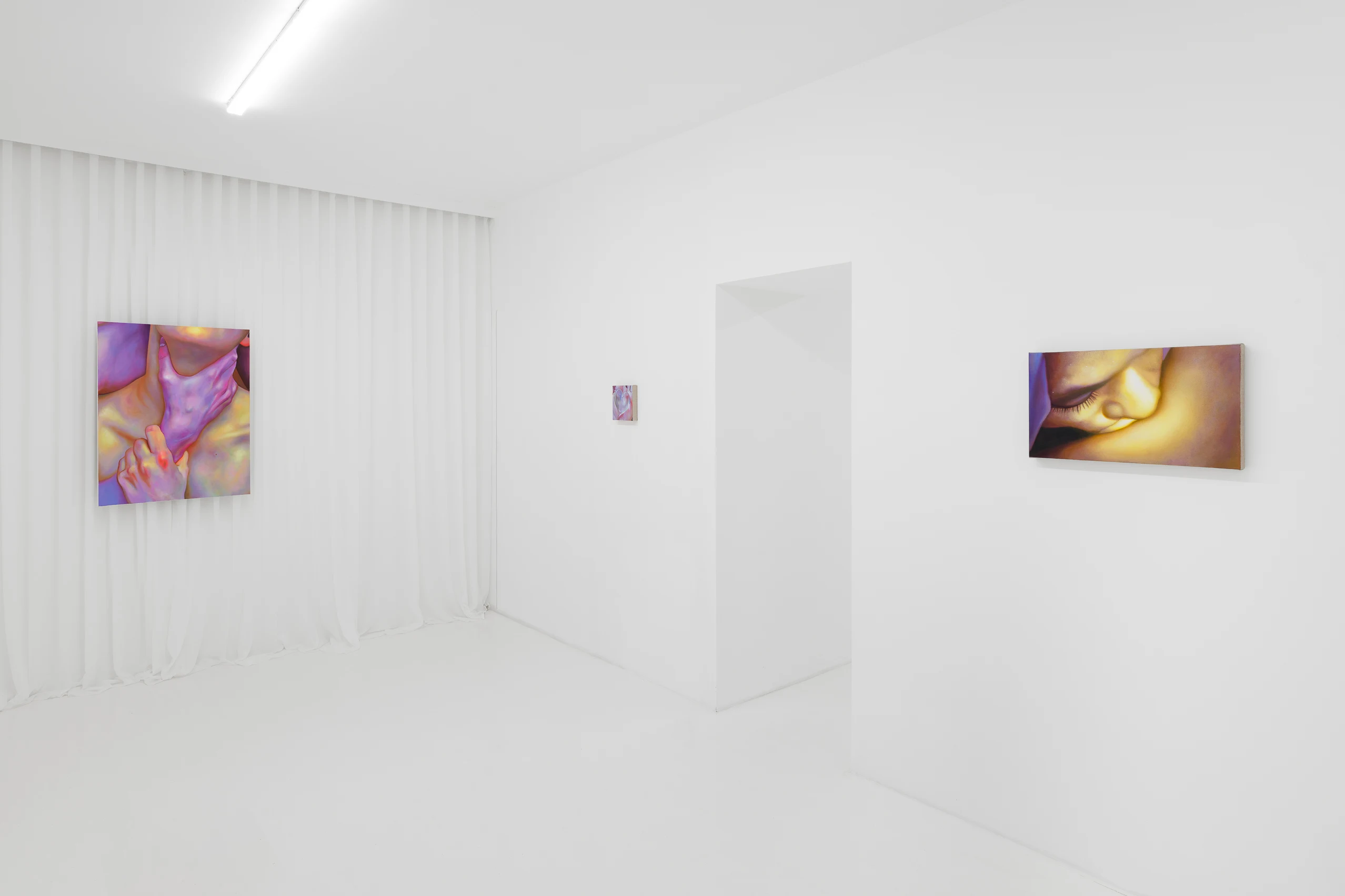 Installation View, Tao Siqi, The Naked Eye (2025), courtesy of Capsule
