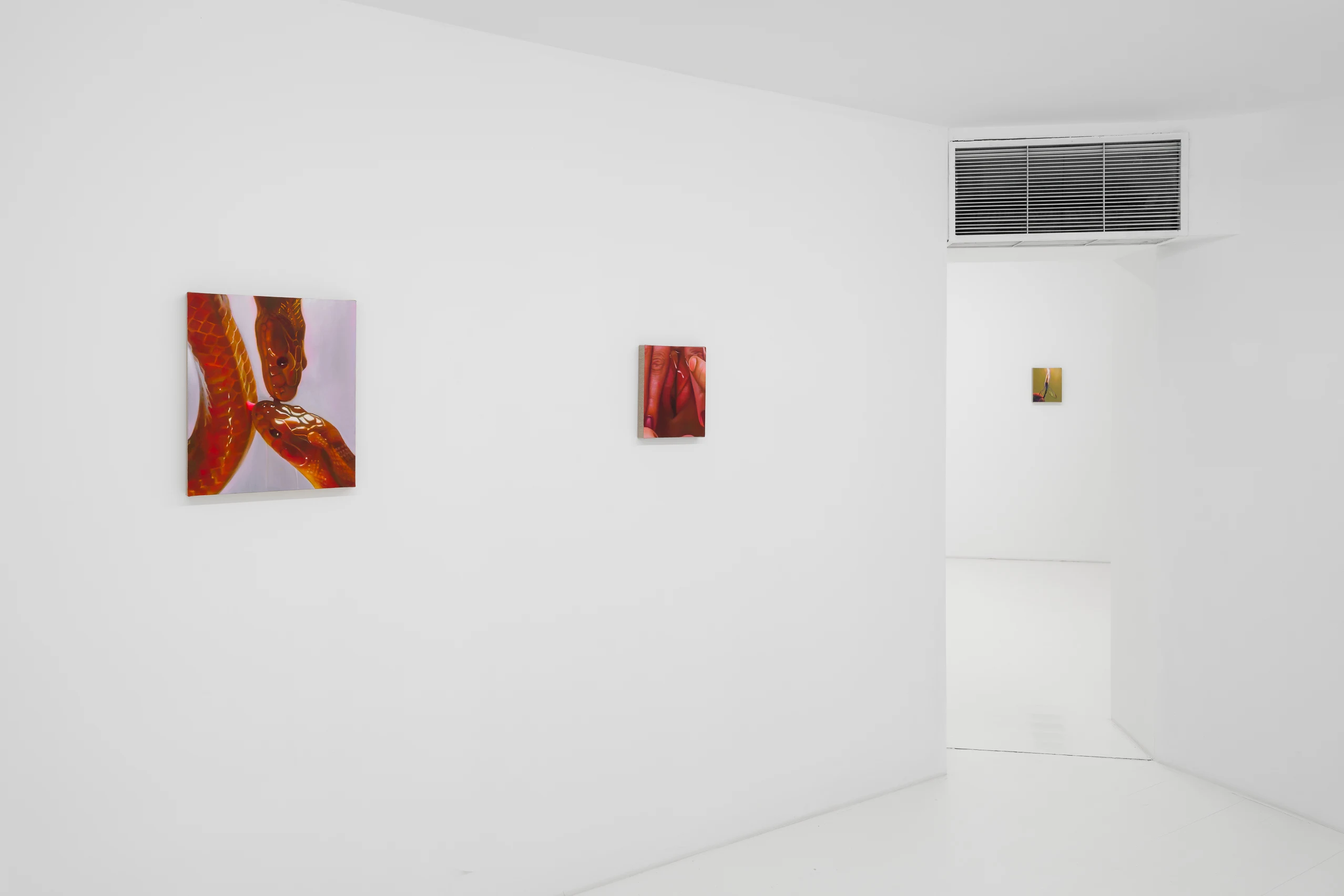Installation View, Tao Siqi, The Naked Eye (2025), courtesy of Capsule