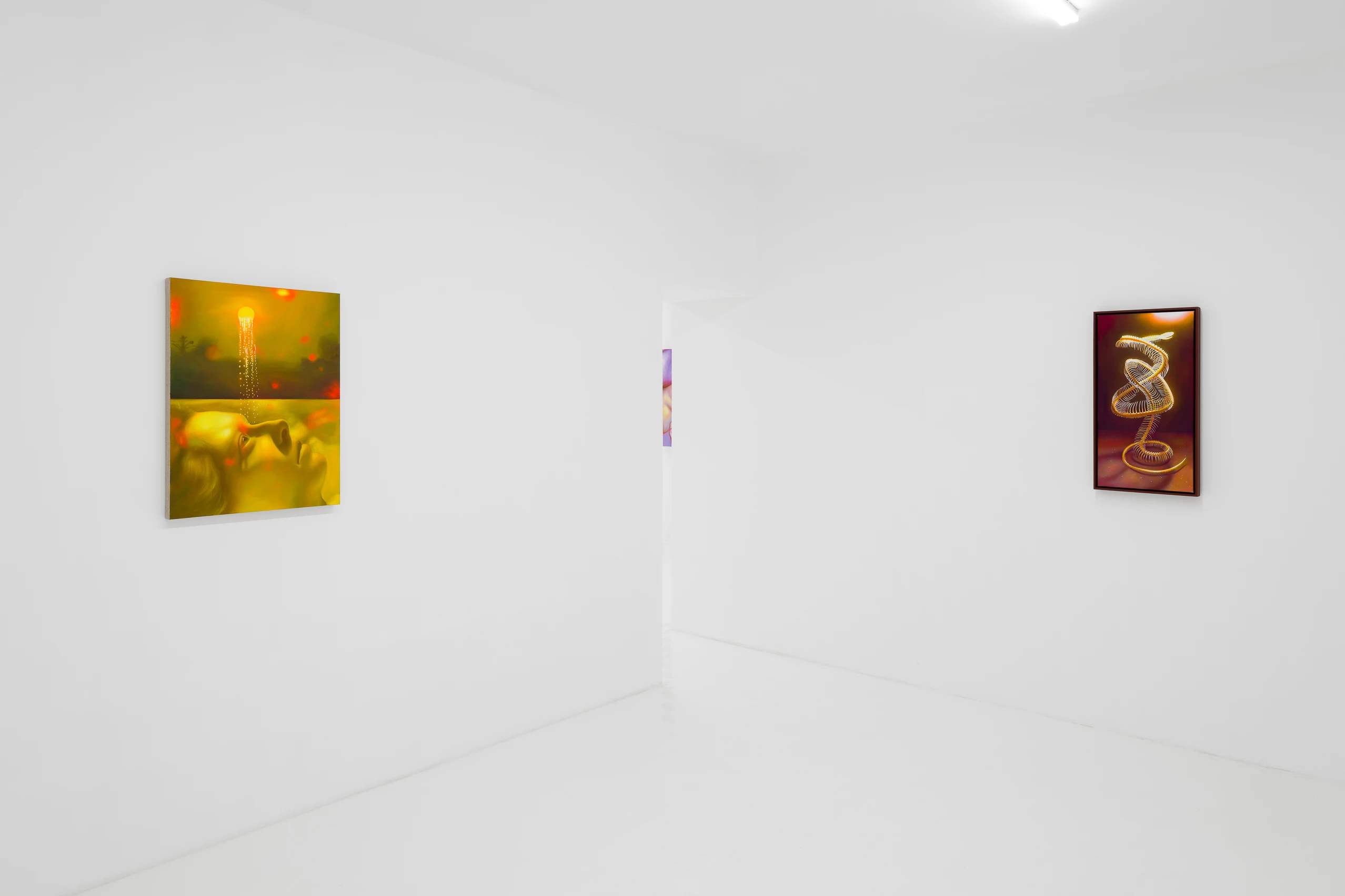 Installation View, Tao Siqi, The Naked Eye (2025), courtesy of Capsule