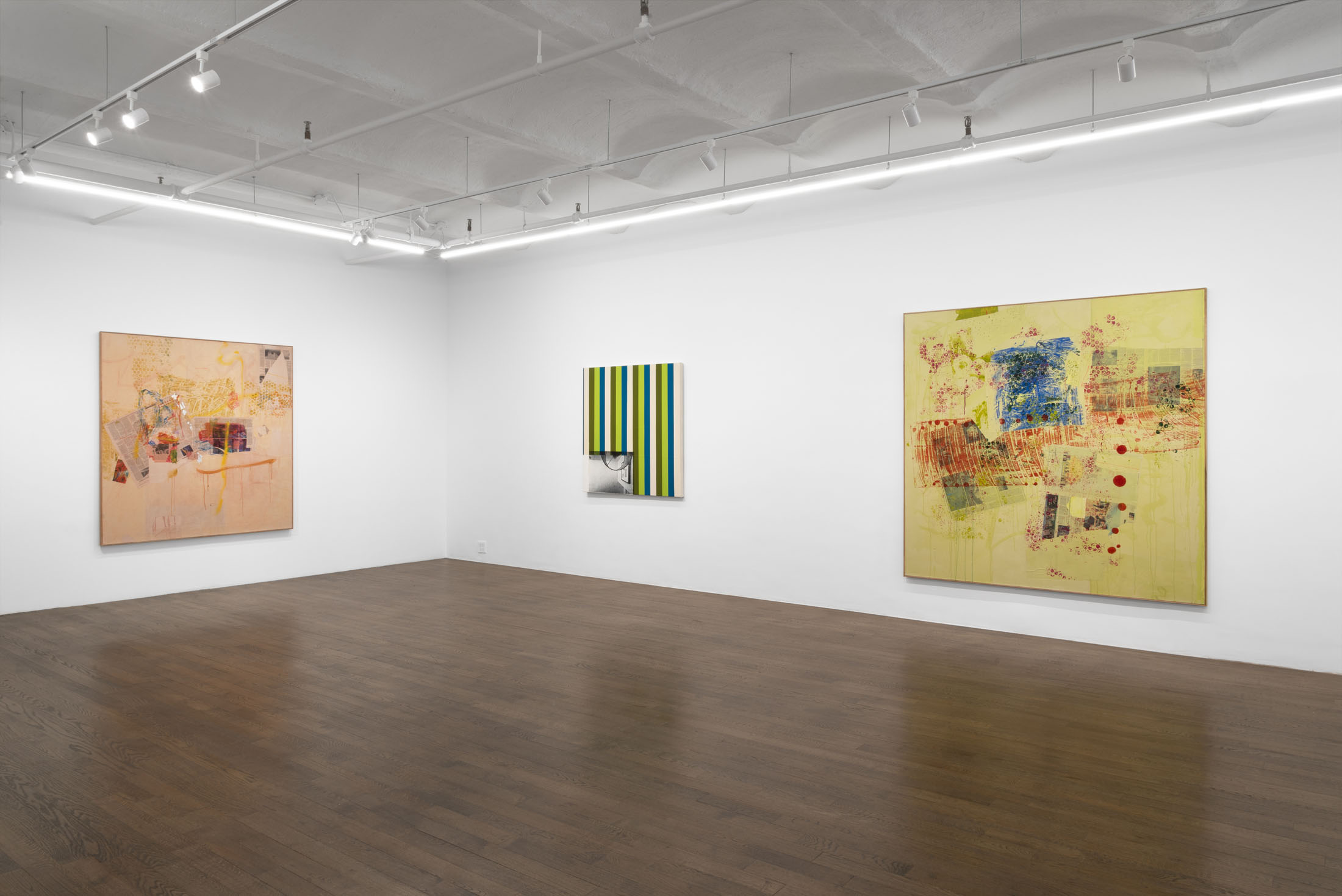 Installation View, Andy Meerow, Heart of Palm (2025), courtesy of Derosia