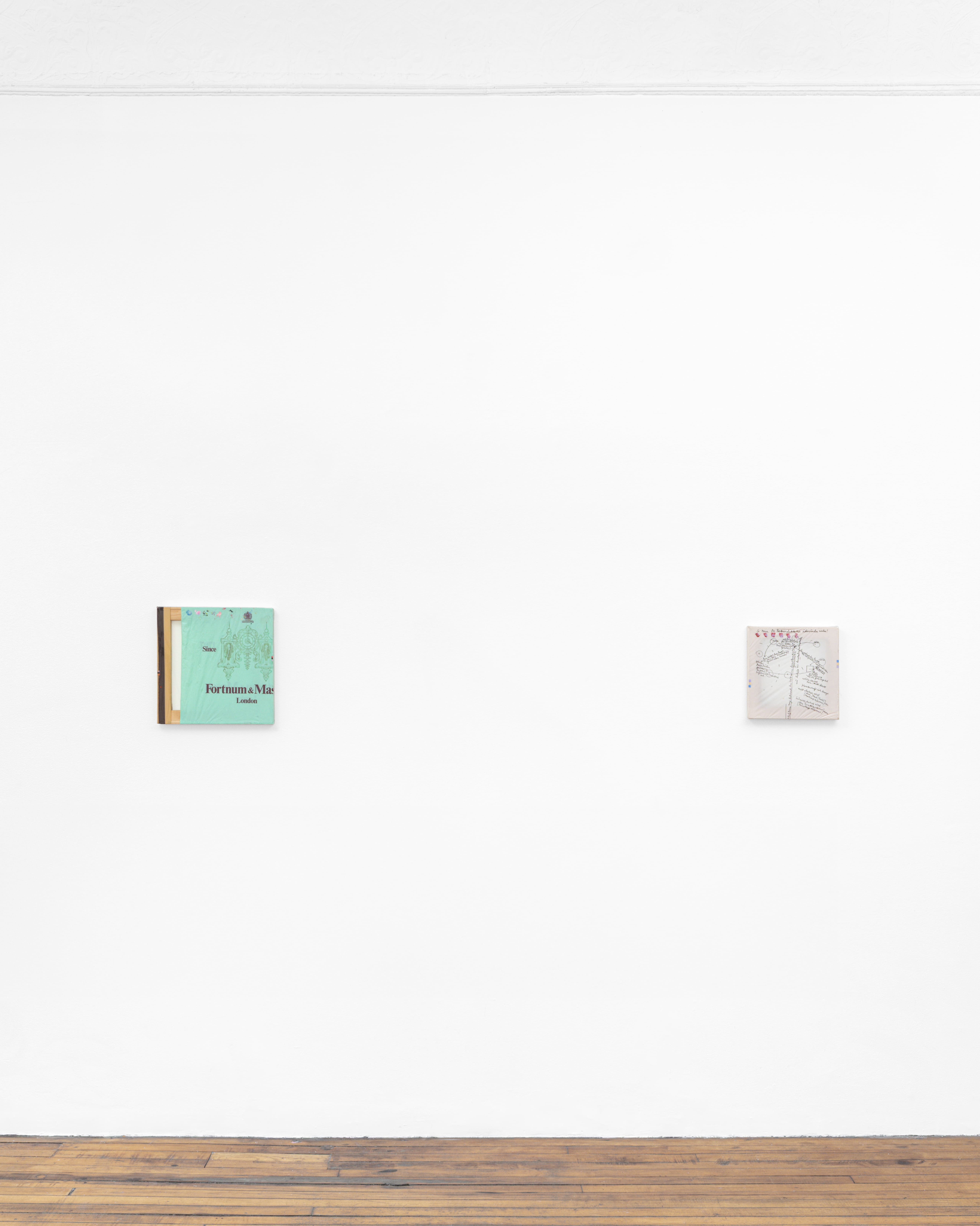 Installation View, Shopping Bag (2025), Courtesy of Hans Goodrich