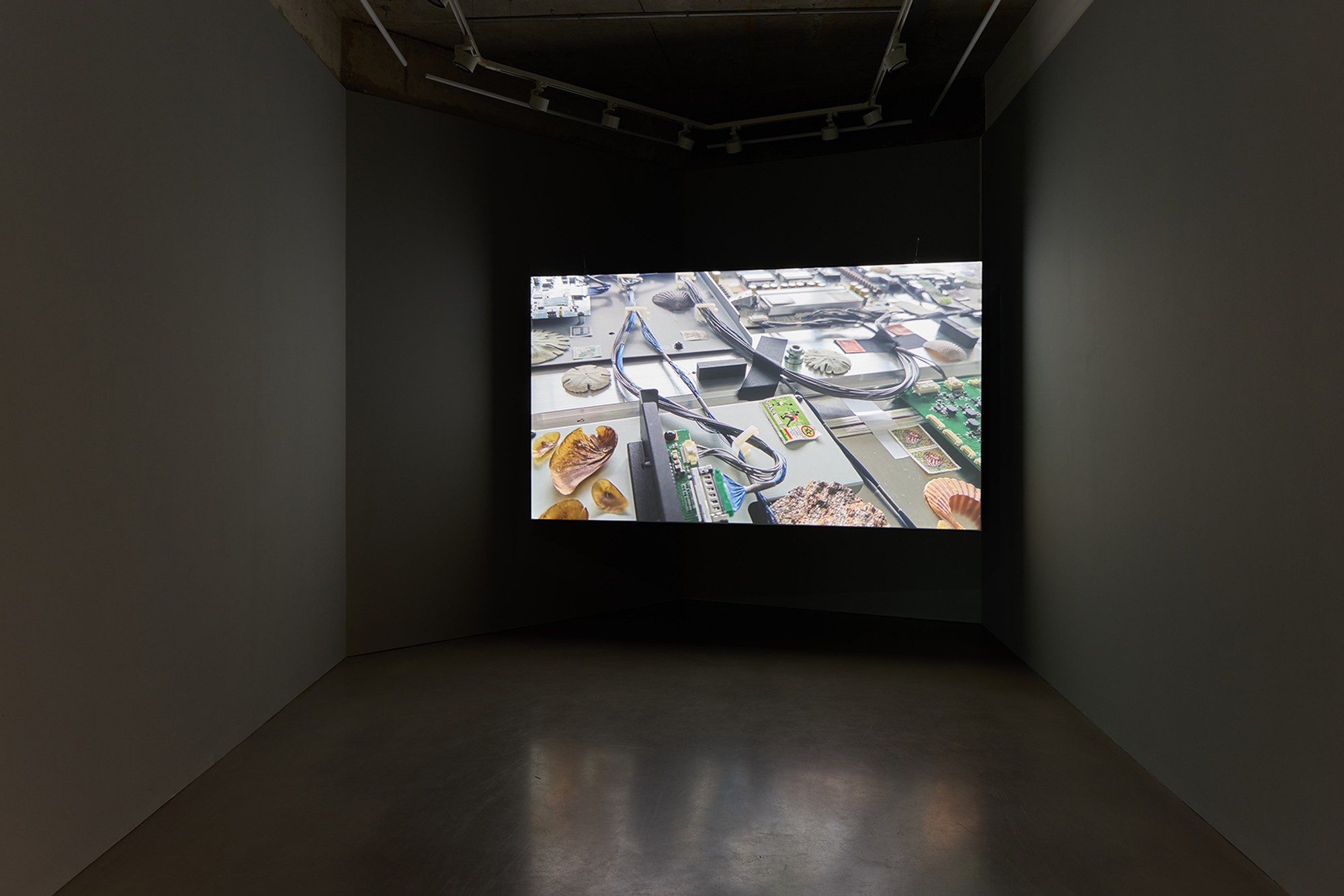 Installation View, Build From Here (2025), courtesy of Maureen Paley