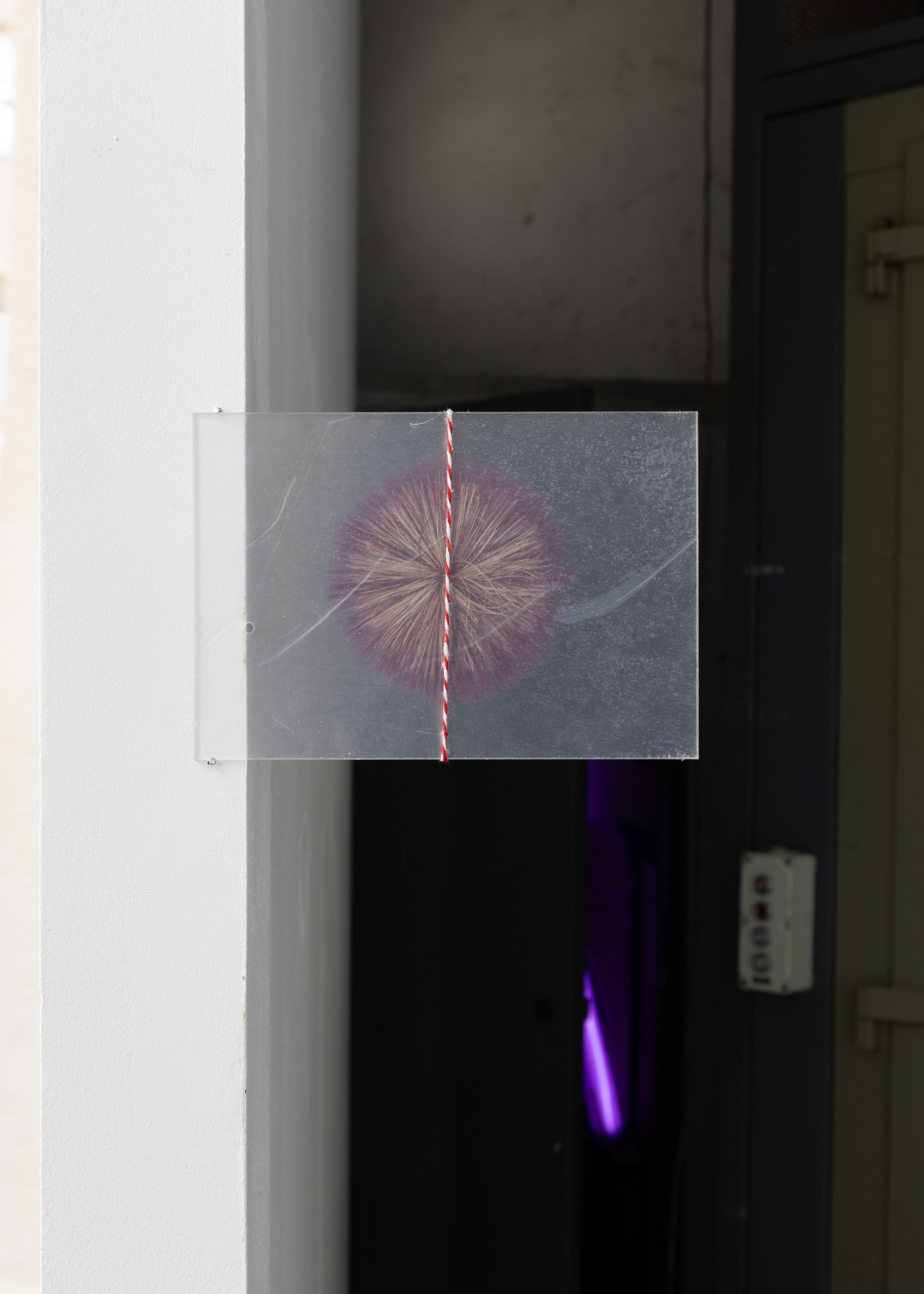 Installation View, Senyalar un rebot i oblidar-se’n (2025), courtesy of barsa