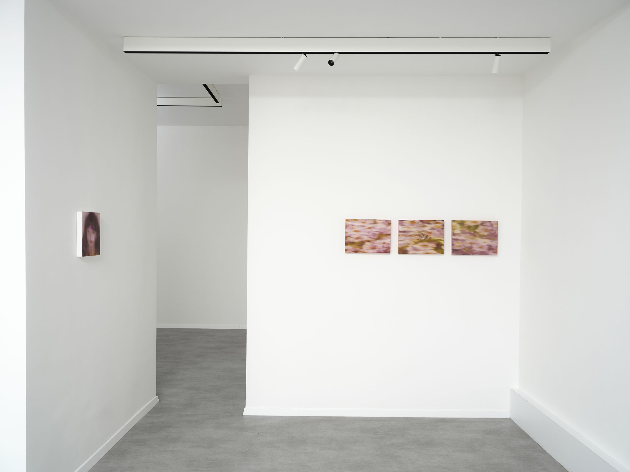 Installation View, "Saccharine Idyllic" (2025), courtesy of the artist and Trotoar Gallery.