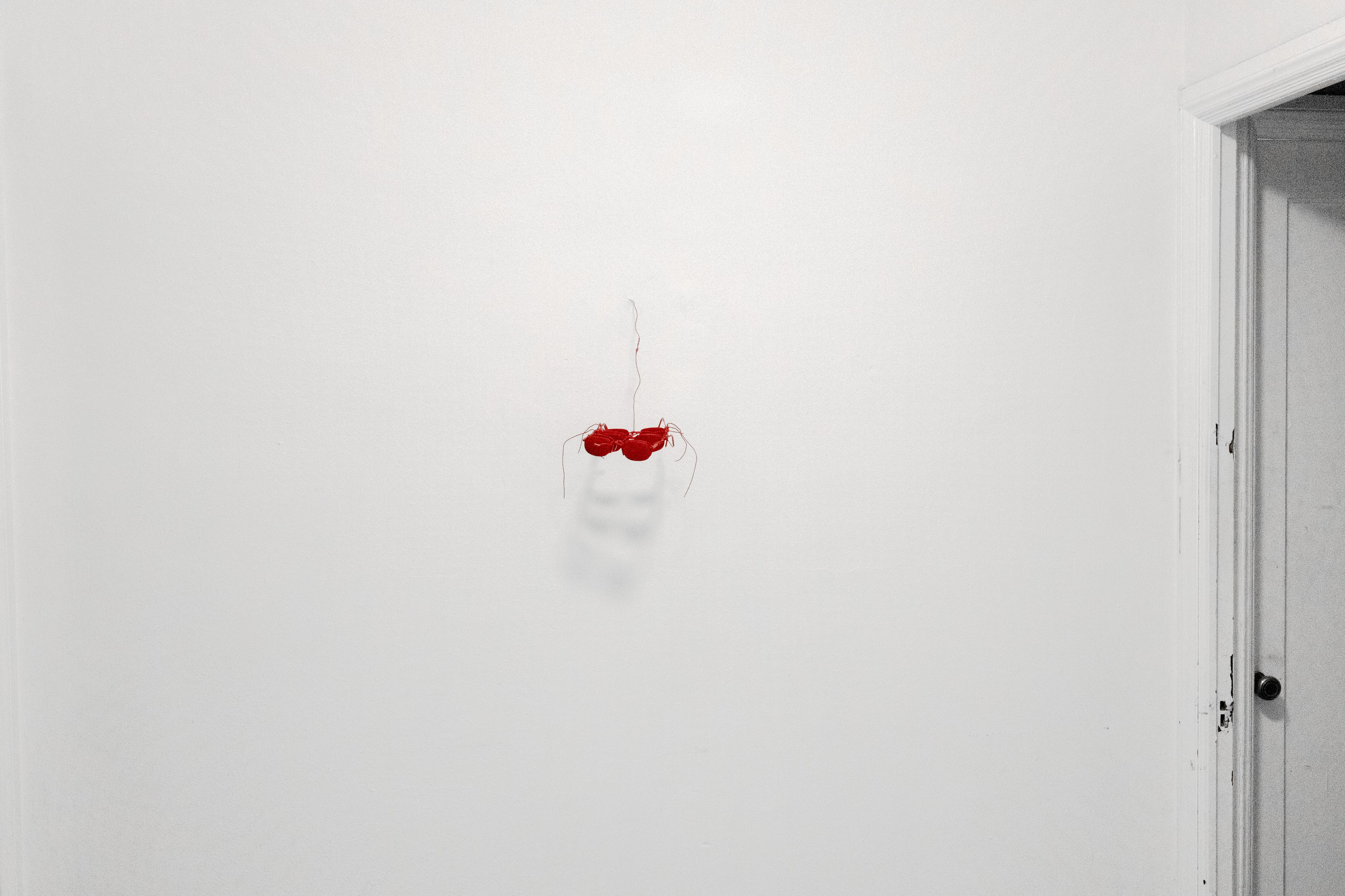 Installation view, Little piggy (2025), courtesy of the artist and Gaylord Fine Arts.