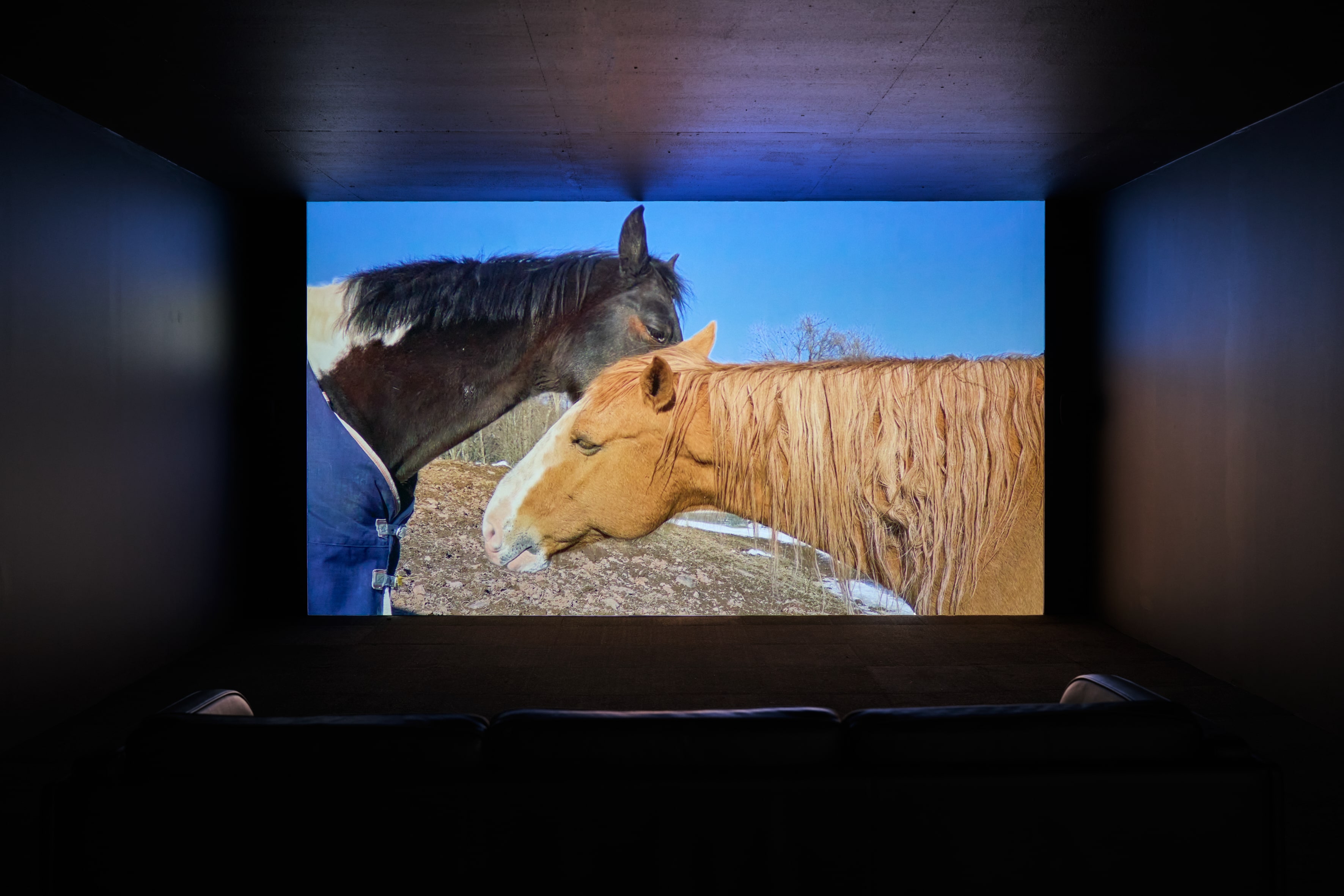 Moyra Davey, Horse Opera, 2019–2022
, HD video with sound
, 60 minutes. Courtesy of Simian, photography by Brian Kure / GRAYSC.