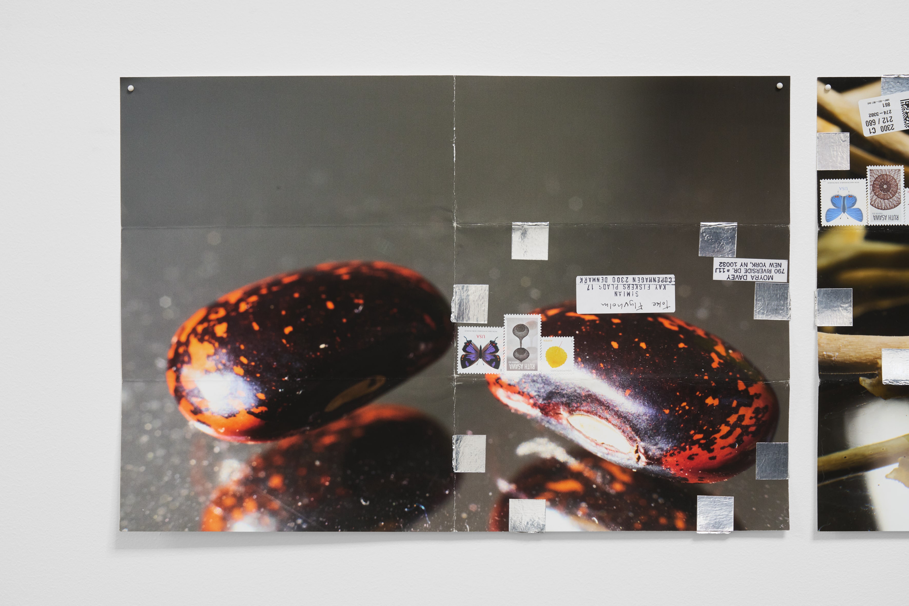 Moyra Davey, 2HB, 2025
, 26 Pigment prints on Epson Enhanced Matte, tape, postage, ink
, 45.5 × 30.5 cm (each print); variable (overall). Detail. Courtesy of Simian, photography by Brian Kure / GRAYSC.