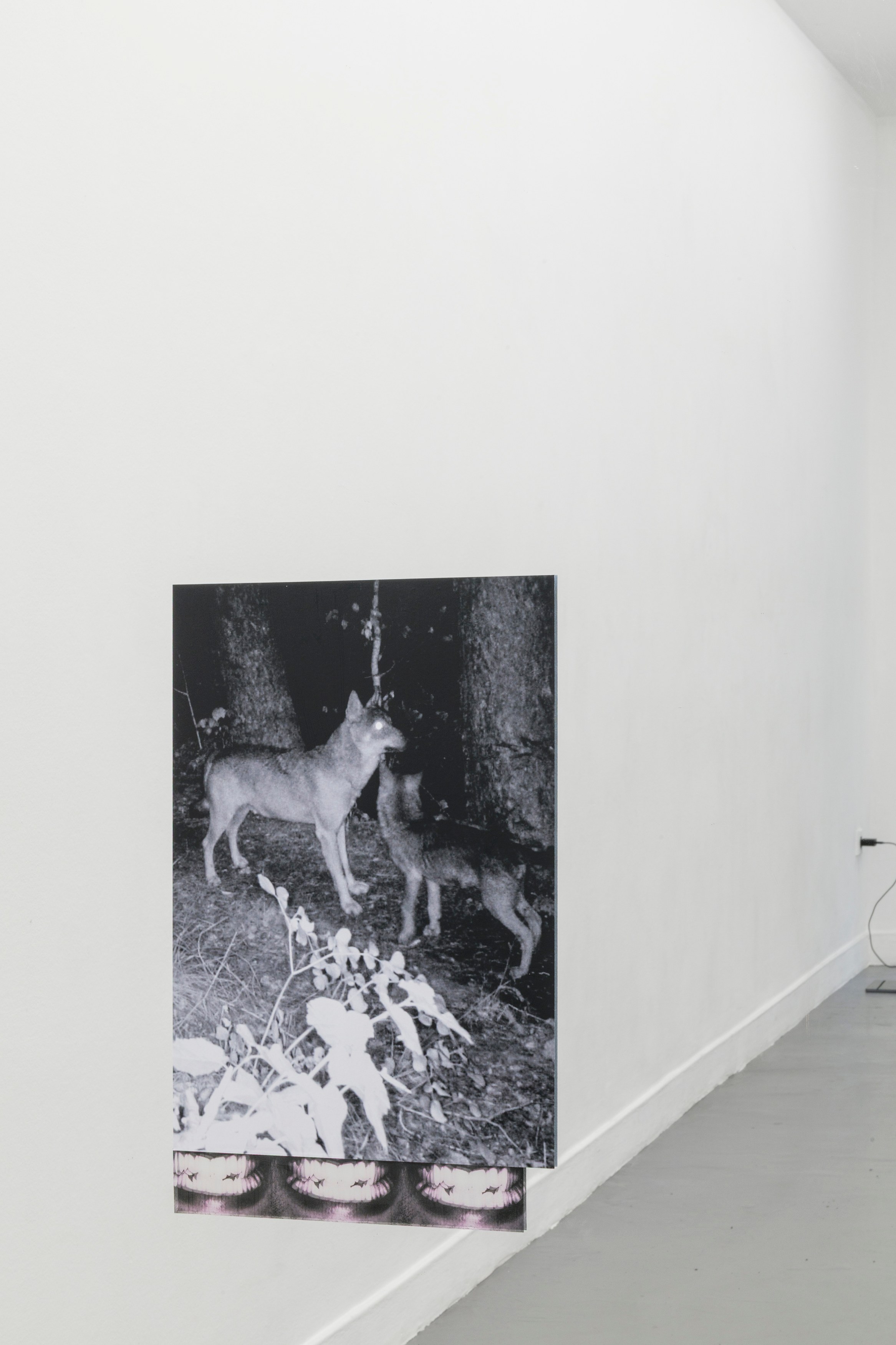 Installation view, Every Entrance Is An Exit, 2025, Images courtesy of the artist and La Salle de Bains, Lyon. Photos by Jesús Alberto Benítez.