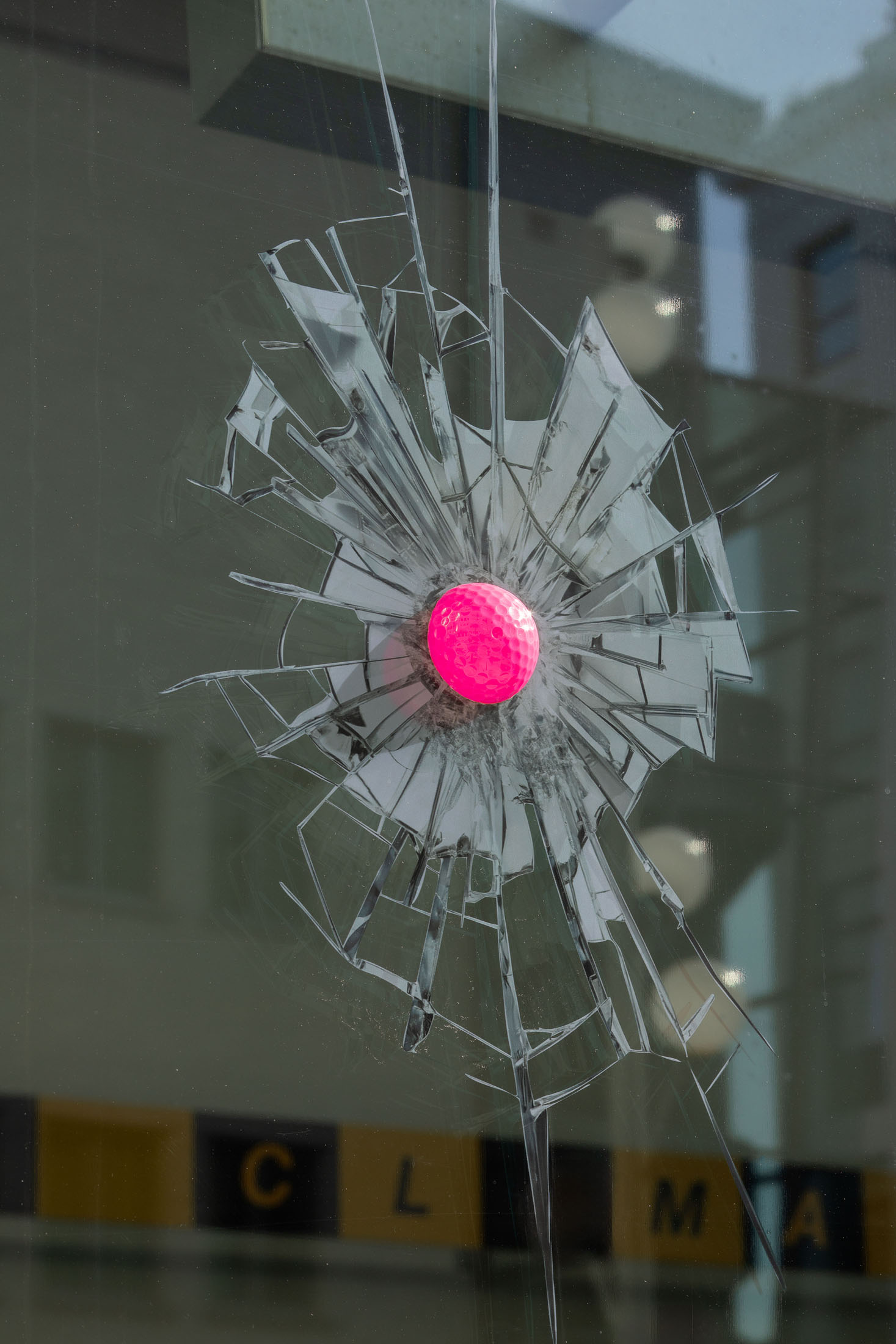 Miriam Laura Leonardi, Open Season, 2025, Istituto Svizzero, Milano © Giulio Boem