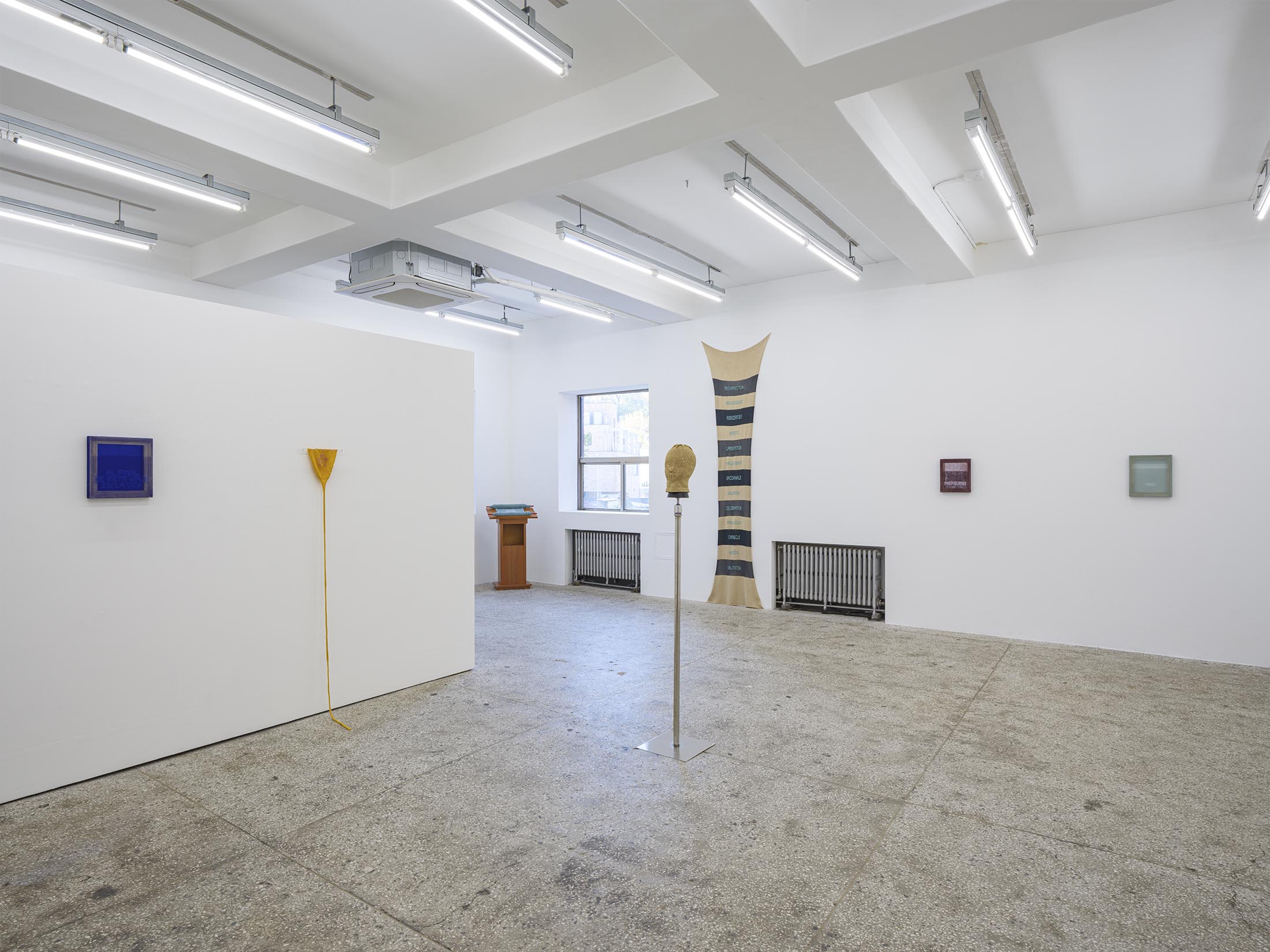 Installation view, A Lower Deep (2025), courtesy of the artist and Bio Gallery.