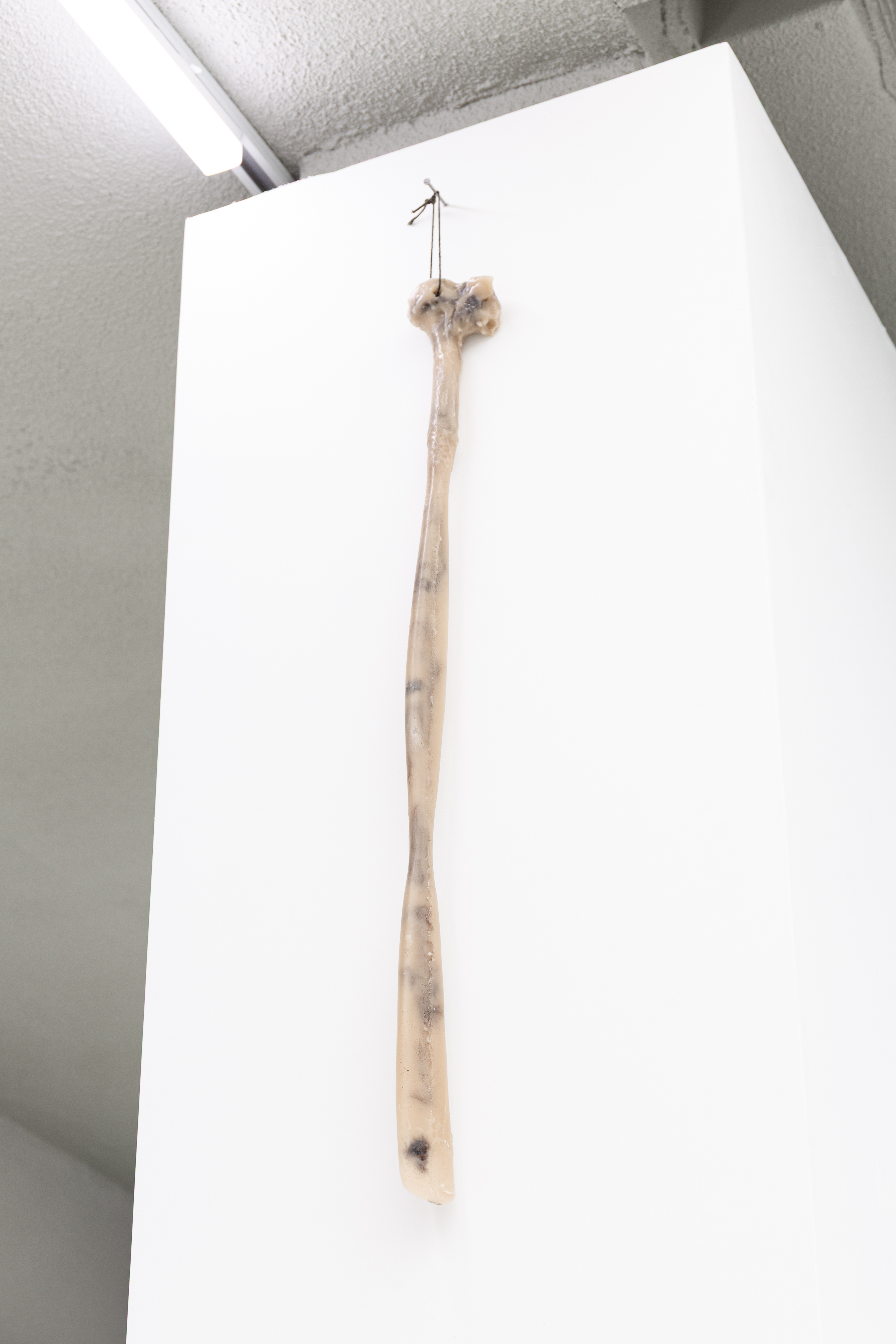 Hanwon Jang, Dislocation, 2025. Wax, string, 80 x 4 x 2 cm. Courtesy the artist and YK PRESENTS, Seoul.