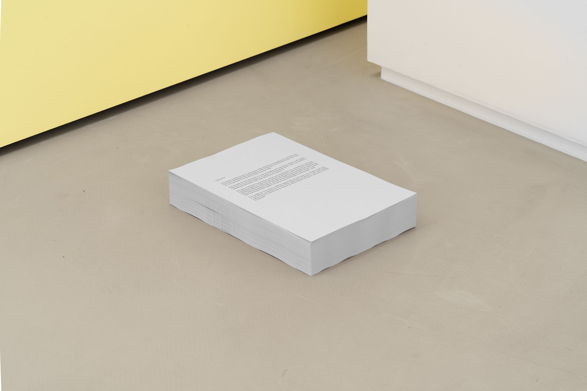 Installation view, You are in good hands, 2025-2026, courtesy of the artist and Lo Brutto Sahl