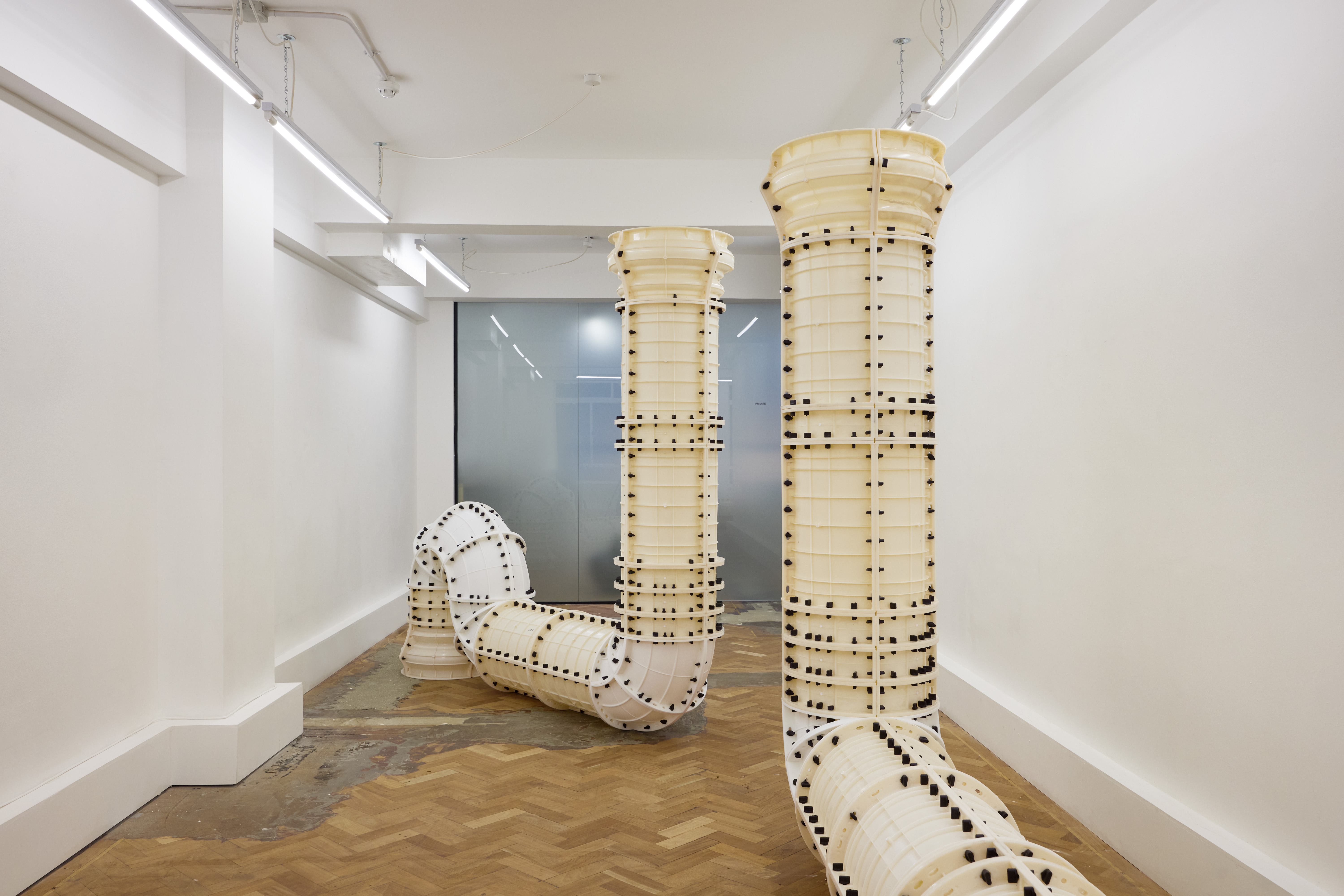 Installation view, Elbows, 2025. Photography: Tom Carter; Courtesy the Artist and Arcadia Missa, London.