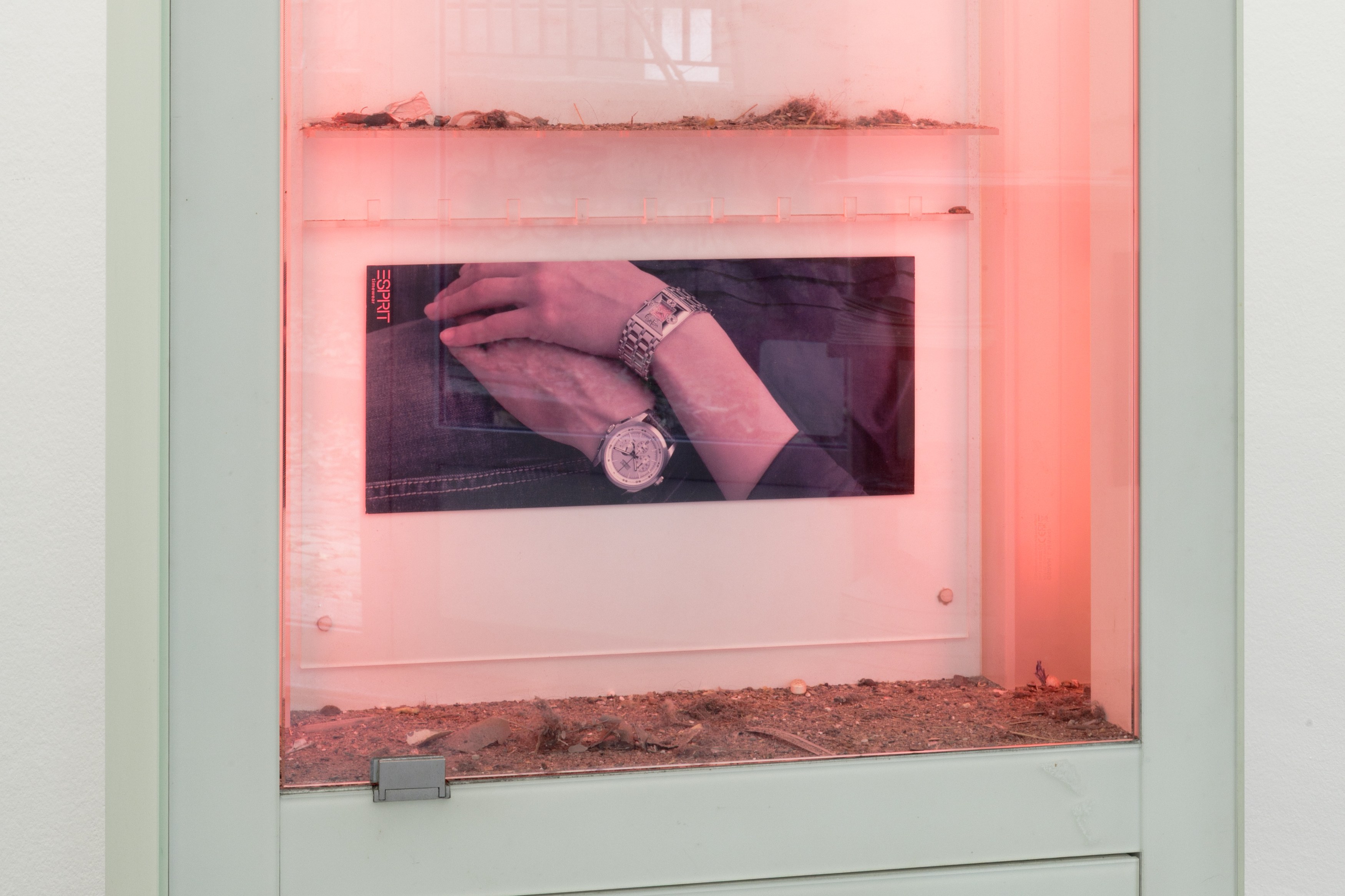 Installation view, Nouvelle Intériorité, 2025-2026. Courtesy of the artist and la Salle de Bains, Lyon. Photos by Jesús Alberto Benítez.