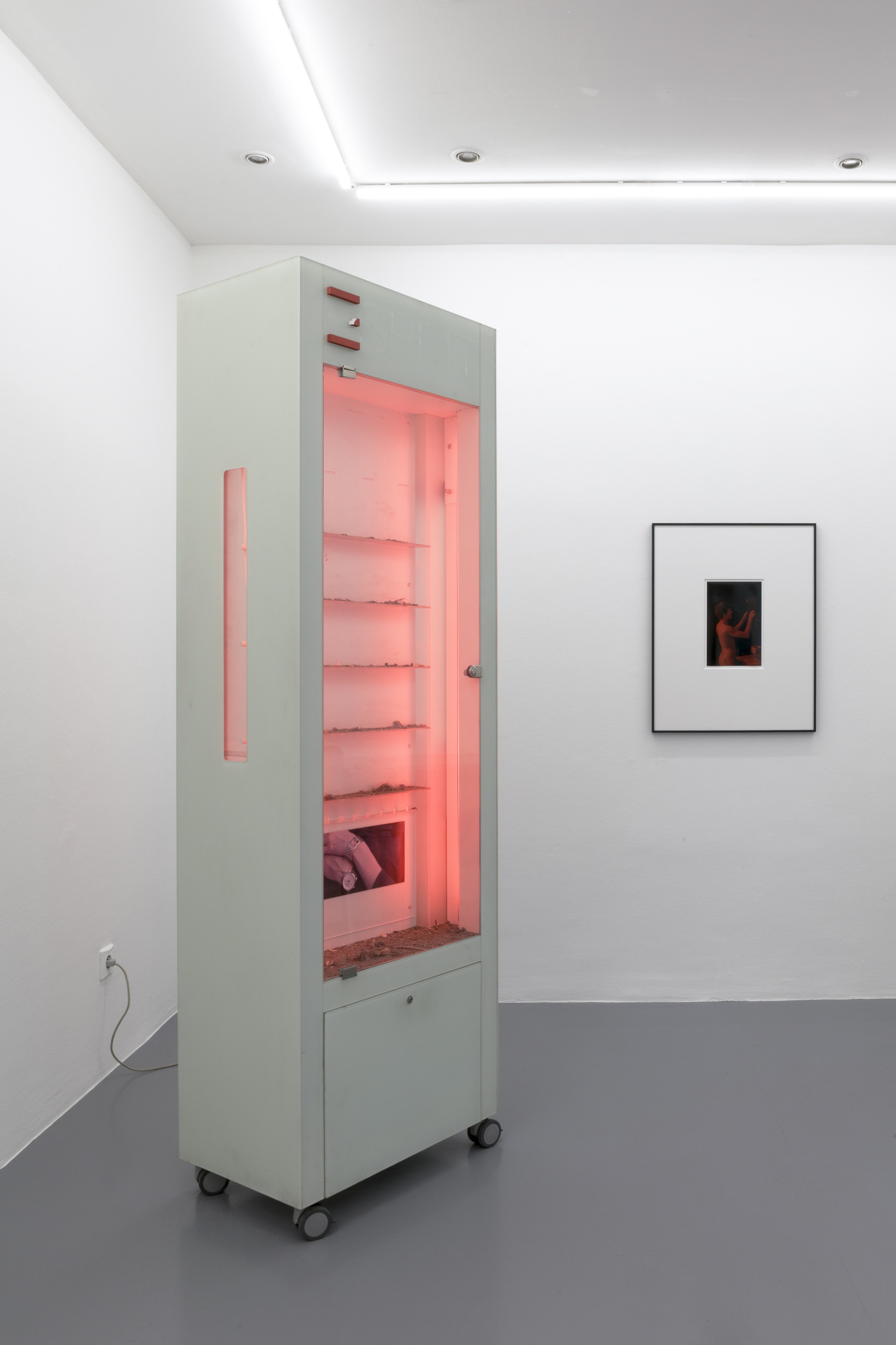 Installation view, Nouvelle Intériorité, 2025-2026. Courtesy of the artist and la Salle de Bains, Lyon. Photos by Jesús Alberto Benítez.