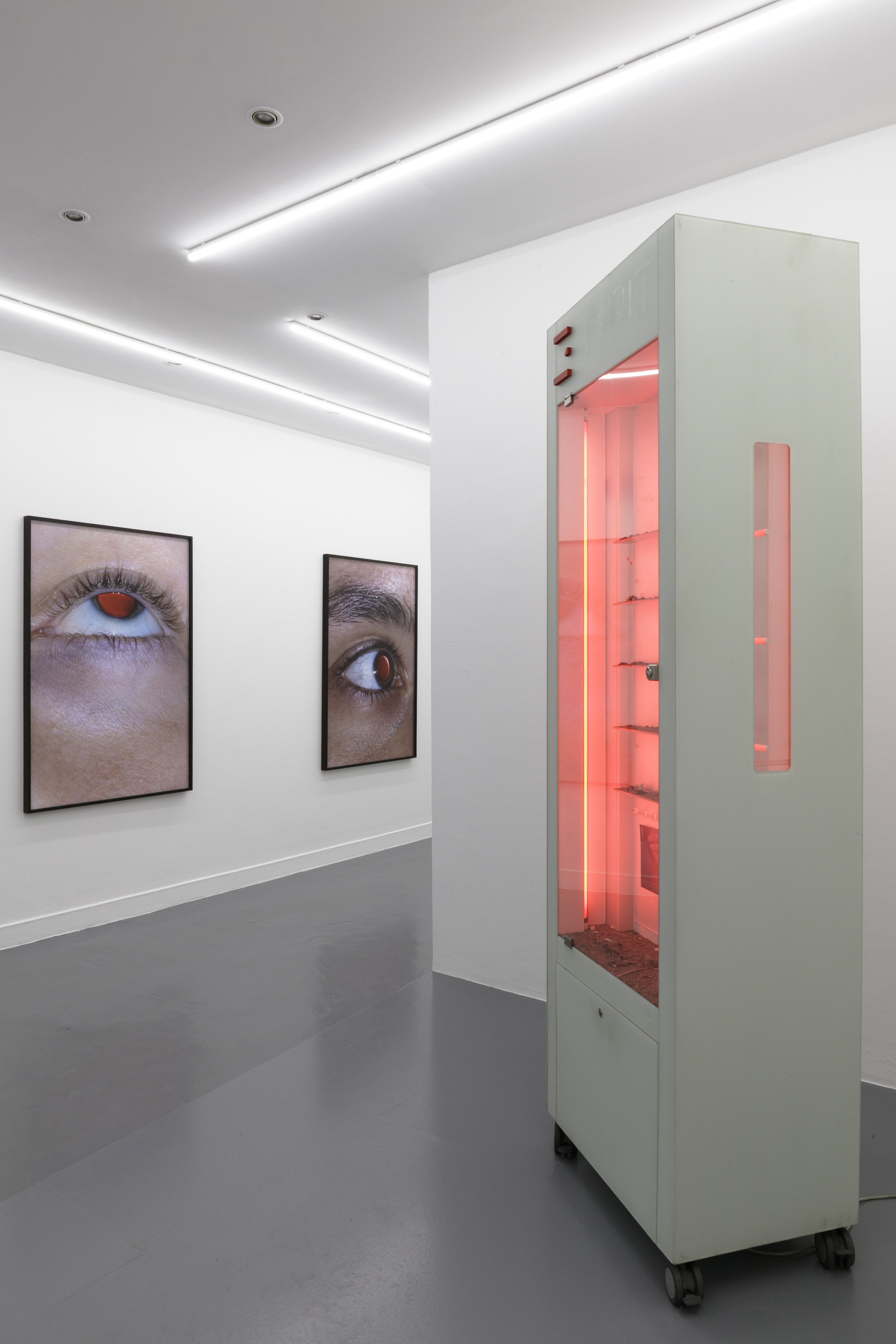 Installation view, Nouvelle Intériorité, 2025-2026. Courtesy of the artist and la Salle de Bains, Lyon. Photos by Jesús Alberto Benítez.