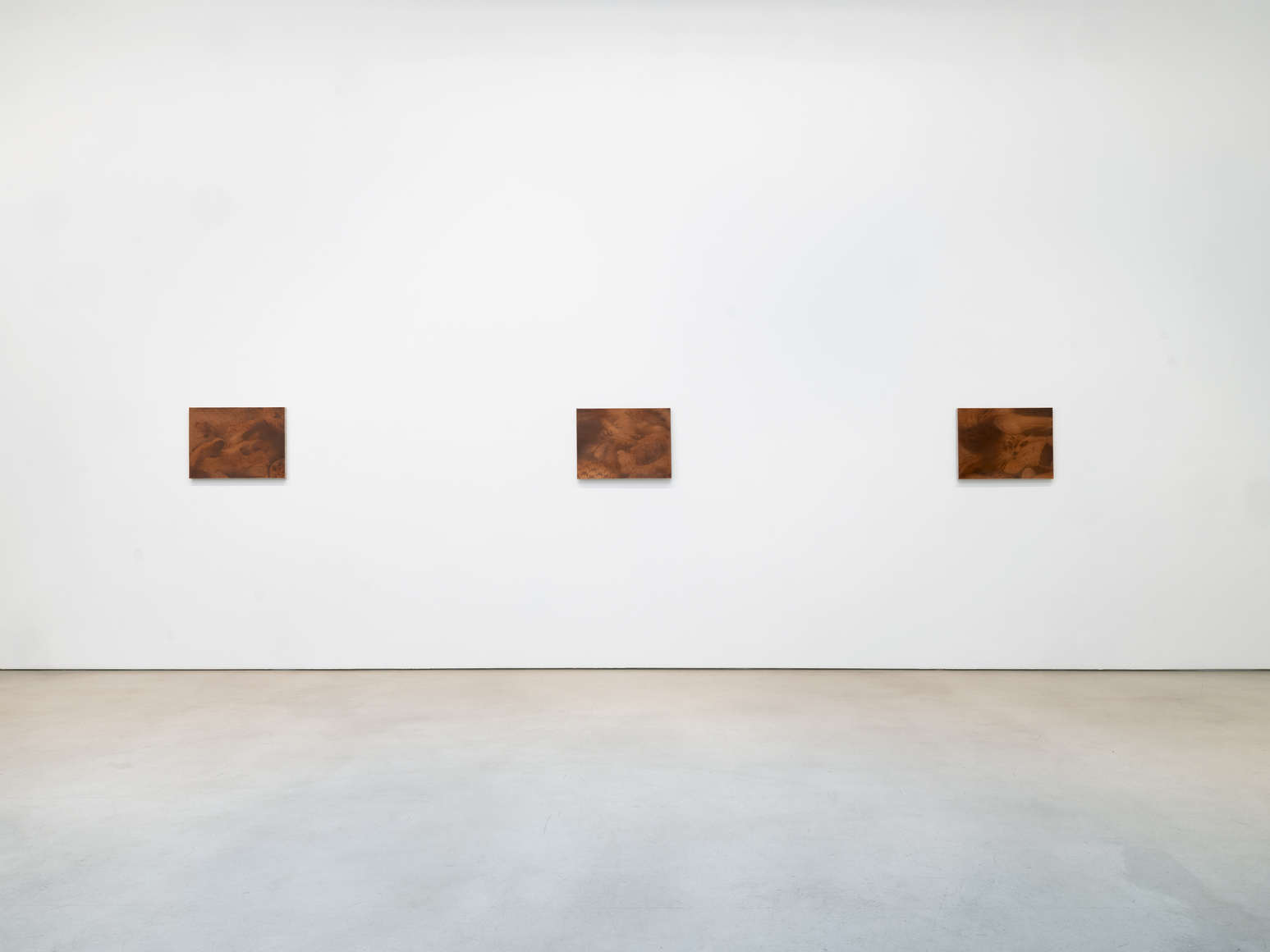 Installation view, Troy Brauntuch, Petzel, 2026. Courtesy of the artist and Petzel.