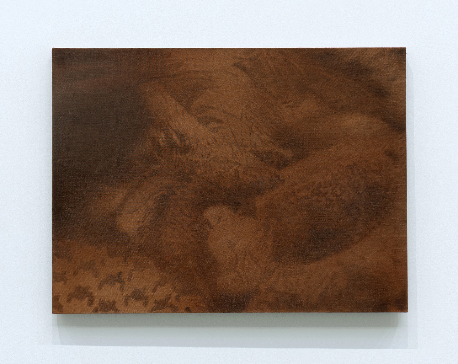 Troy Brauntuch, Untitled (Rodeo with rabbit), 2025, Oil on linen, 18 x 24 in 45.7 x 61 cm, (TB 25/015). Courtesy of the artist and Petzel