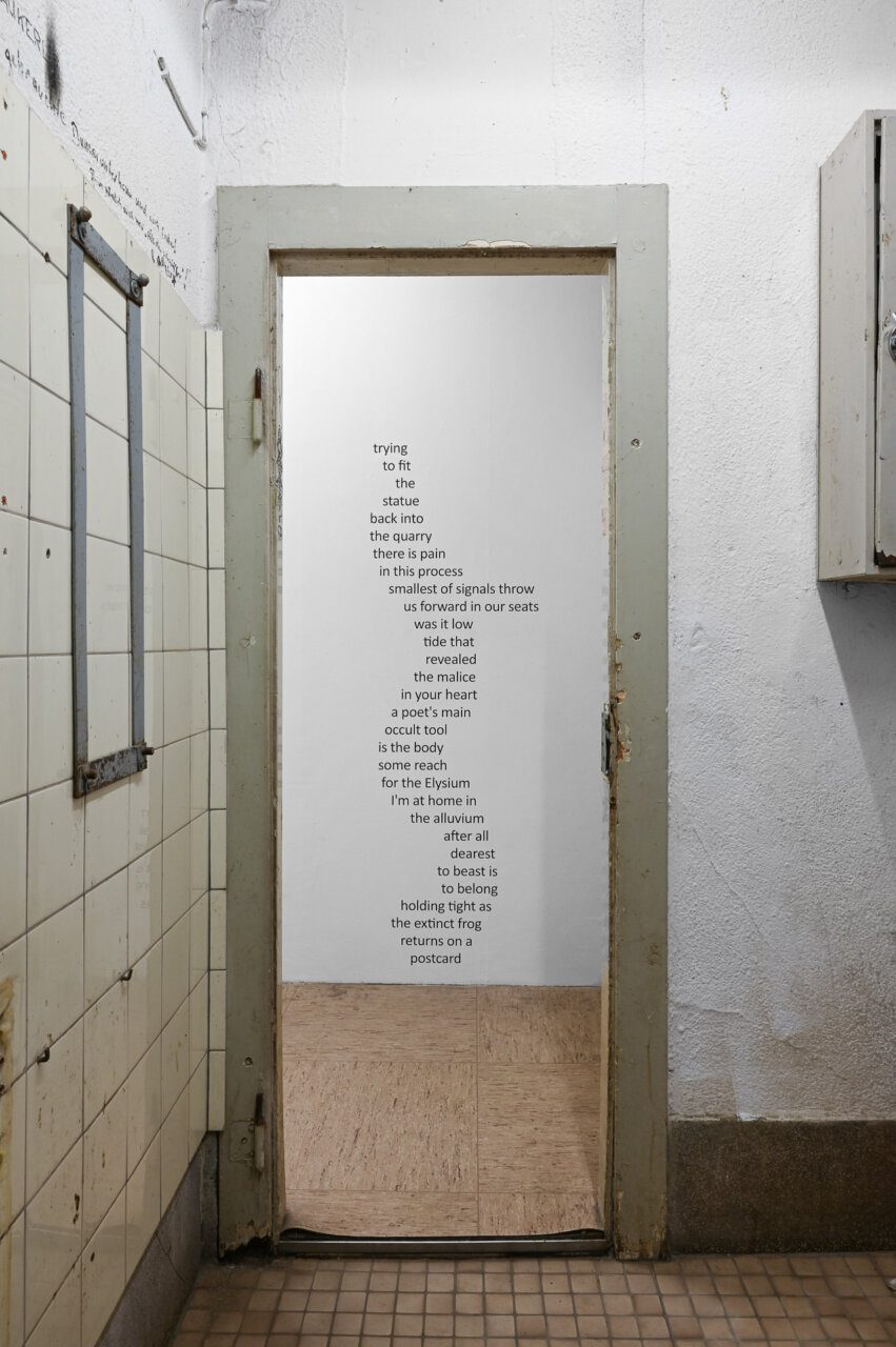 CAConrad, "Poem from First Light" (installation view), 2025, dimensions variable, CAConrad, Jan Domicz, Gina Folly, Germaine Koh, Devin T. Mays, Sean Morel (organized by u), "Brain in a Pipe" at Kaiserwache, Freiburg im Breisgau, 2026. Images courtesy of the artists and Kaiserwache. Photo: Stefan Lux.