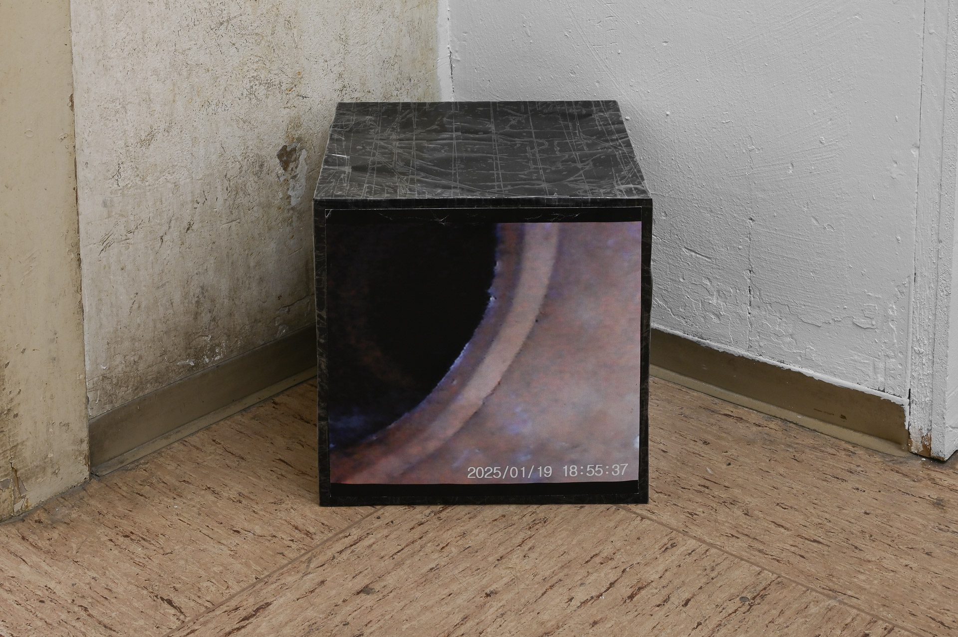 Sean Morel, "Brain in a Pipe Video Stills (014)," no date, 30,48 x 30,48 x 30,48 cm. CAConrad, Jan Domicz, Gina Folly, Germaine Koh, Devin T. Mays, Sean Morel (organized by u), "Brain in a Pipe" at Kaiserwache, Freiburg im Breisgau, 2026. Images courtesy of the artists and Kaiserwache. Photo: Stefan Lux.