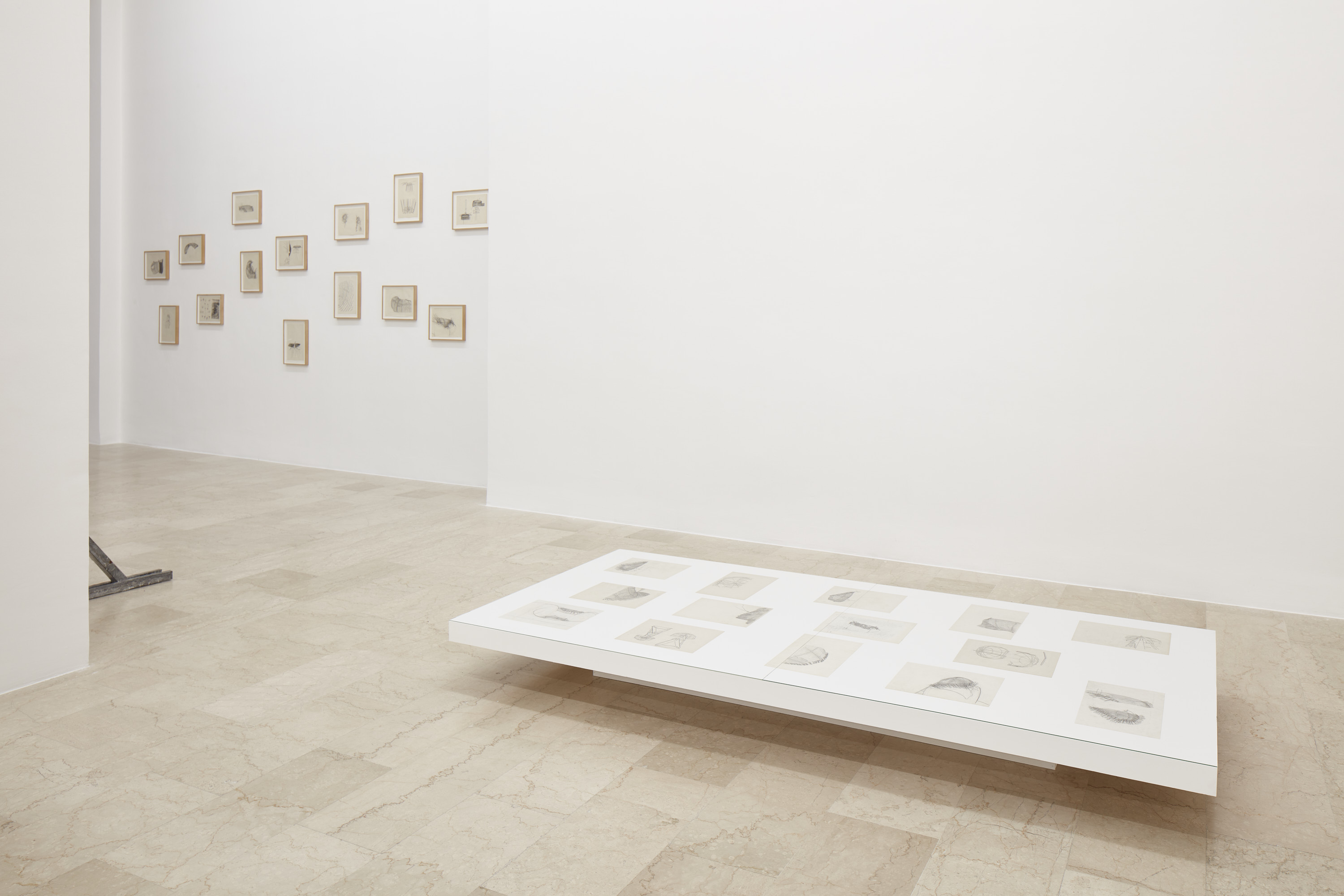 Ana Lupas, Armature, 2026, installation view, P420, Bologna. Courtesy of P420, Bologna. Photo credit: Carlo Favero.