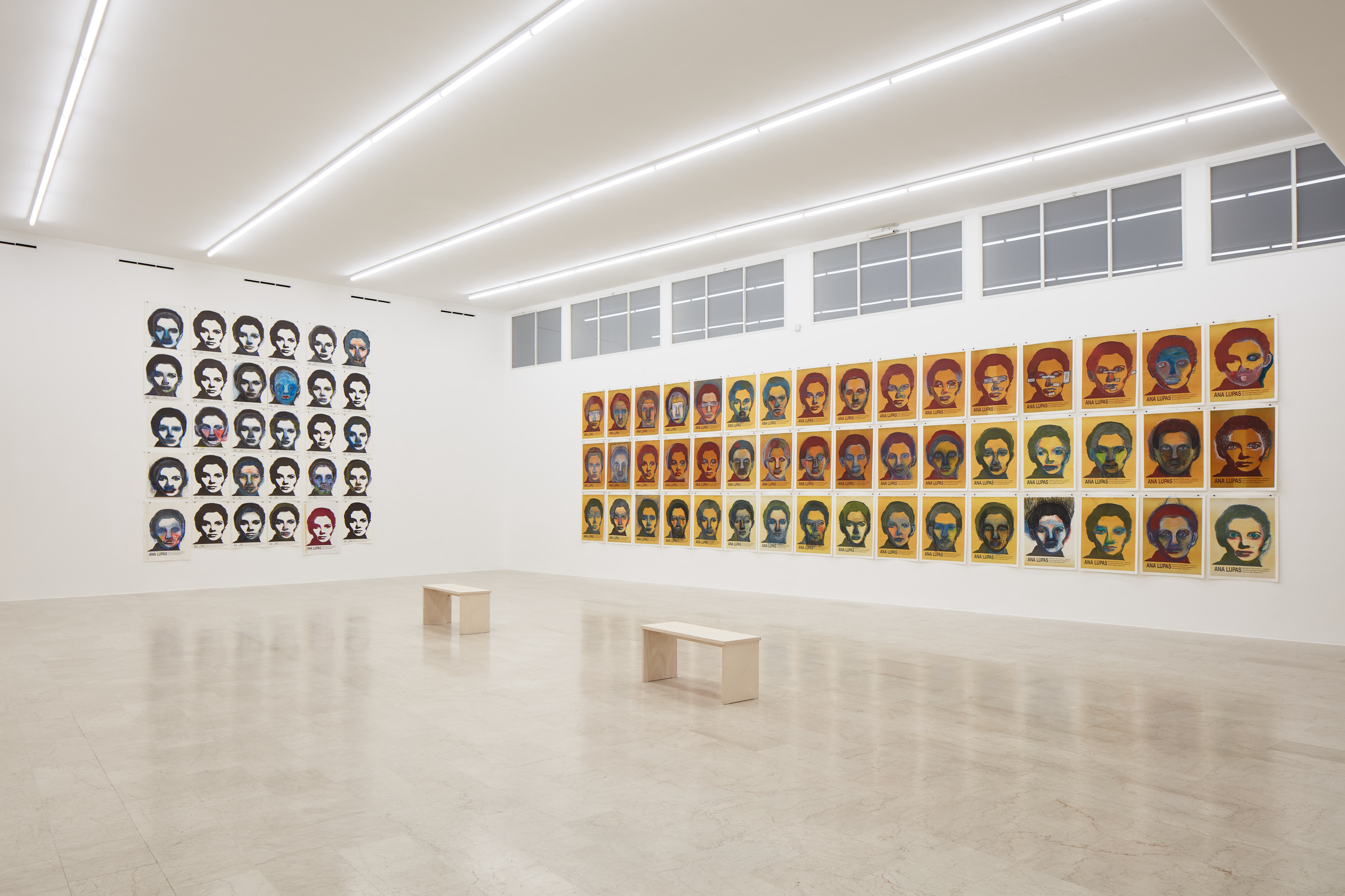 Ana Lupas, Armature, 2026, installation view, P420, Bologna. Courtesy of P420, Bologna. Photo credit: Carlo Favero.