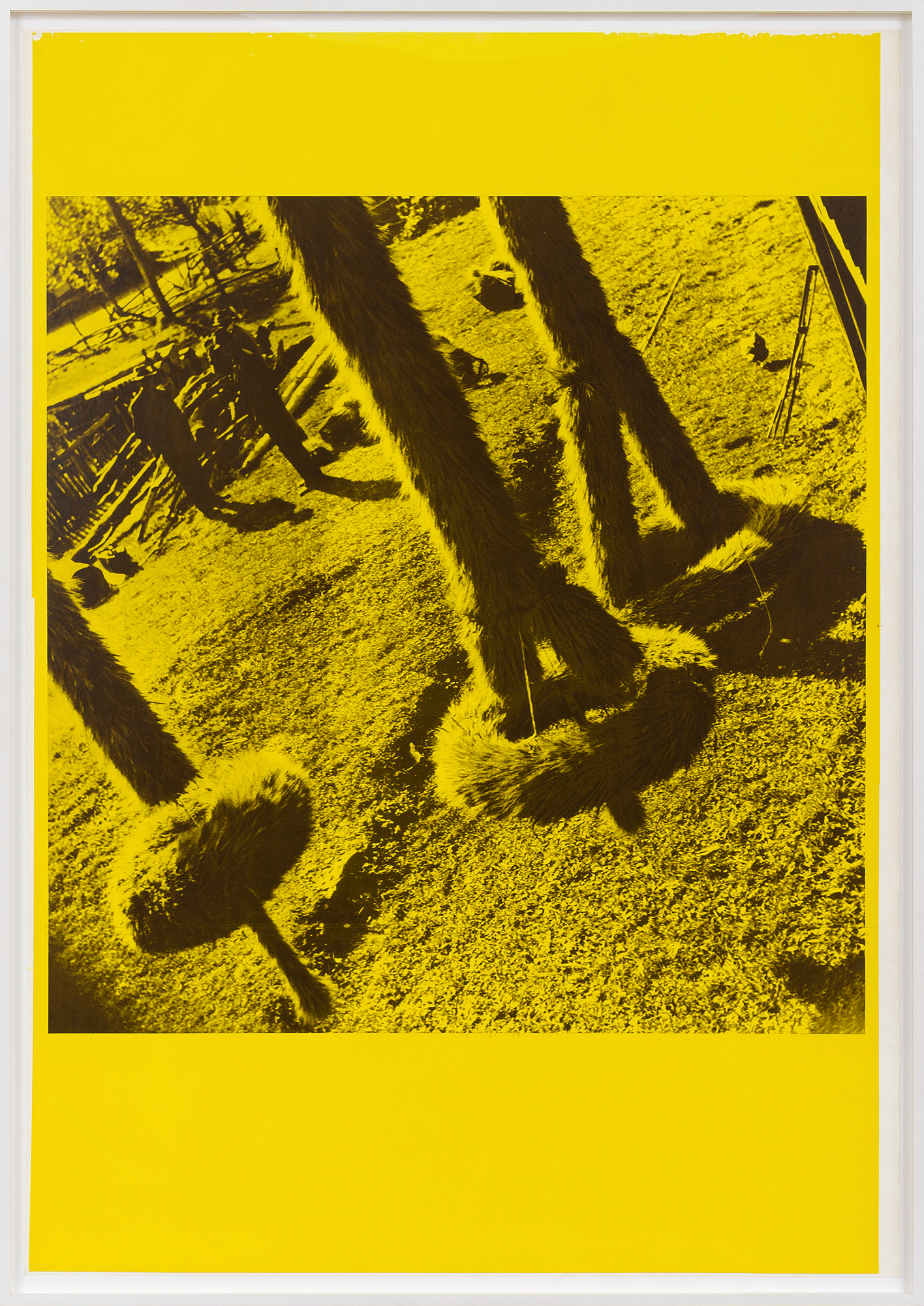 Ana Lupas, The Solemn Process, 1964, offset, cm.100x70. Courtesy the artist and P420, Bologna. Photo credit: Carlo Favero.