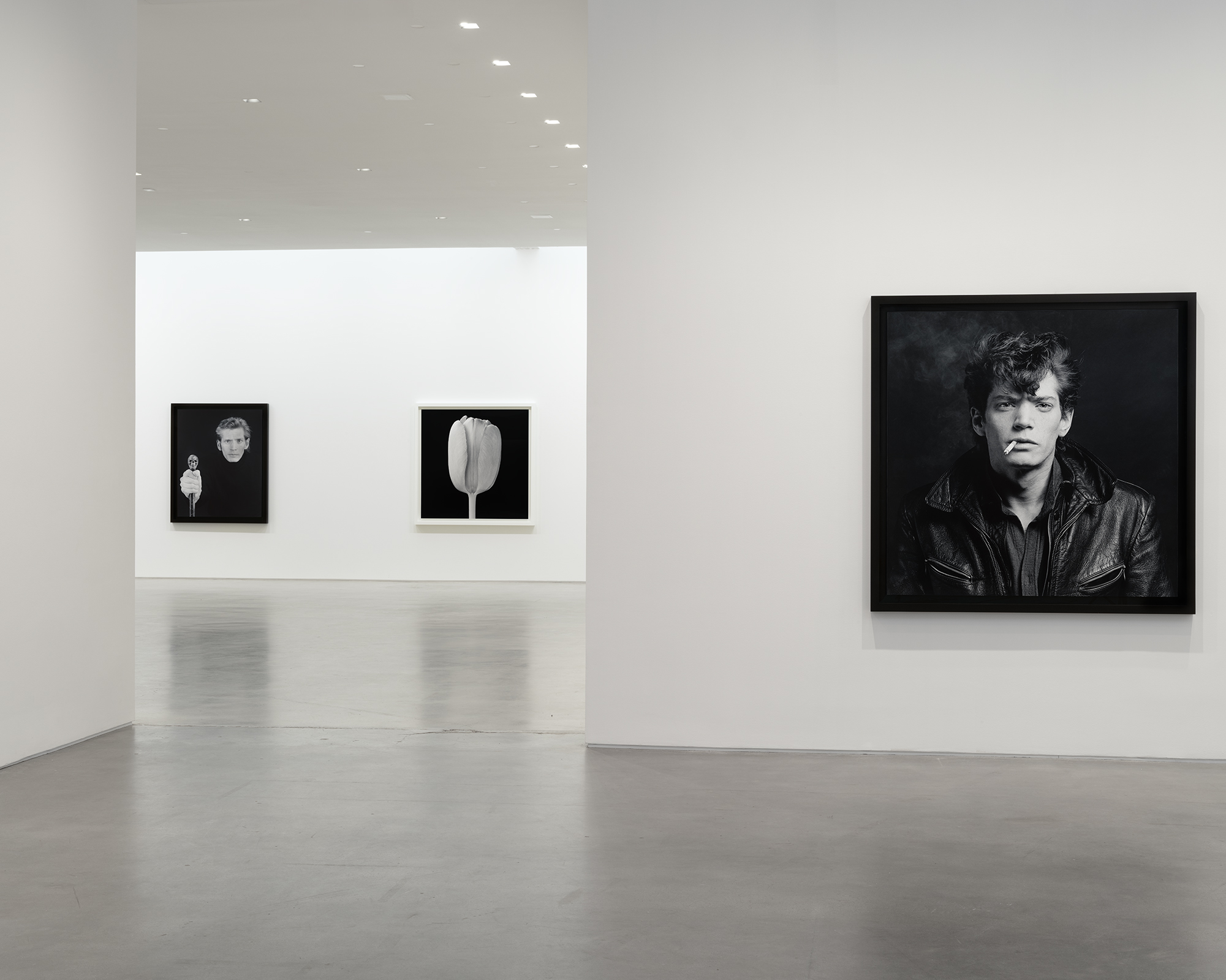 Installation view, Robert Mapplethorpe, Gladstone, New York, 2026. Courtesy of the artist and Gladstone Gallery.