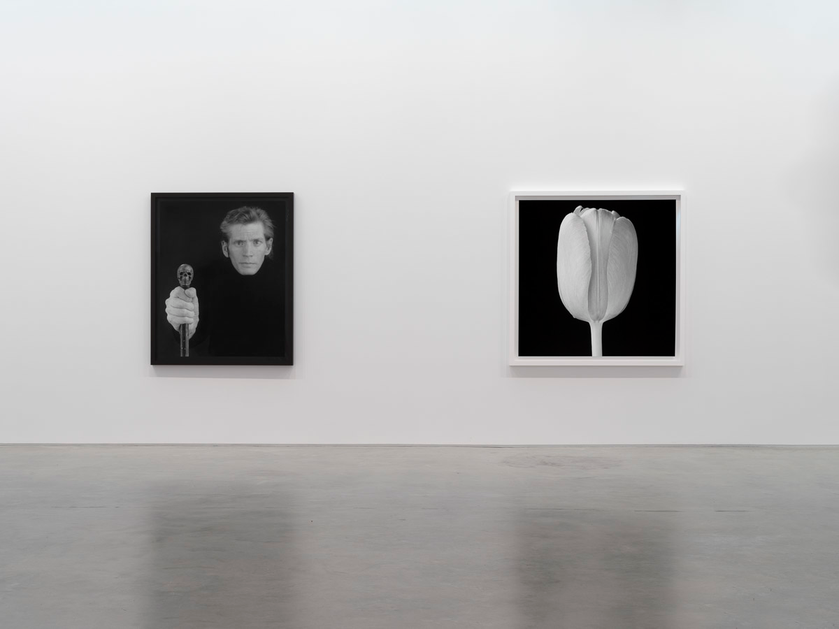 Installation view, Robert Mapplethorpe, Gladstone, New York, 2026. Courtesy of the artist and Gladstone Gallery.