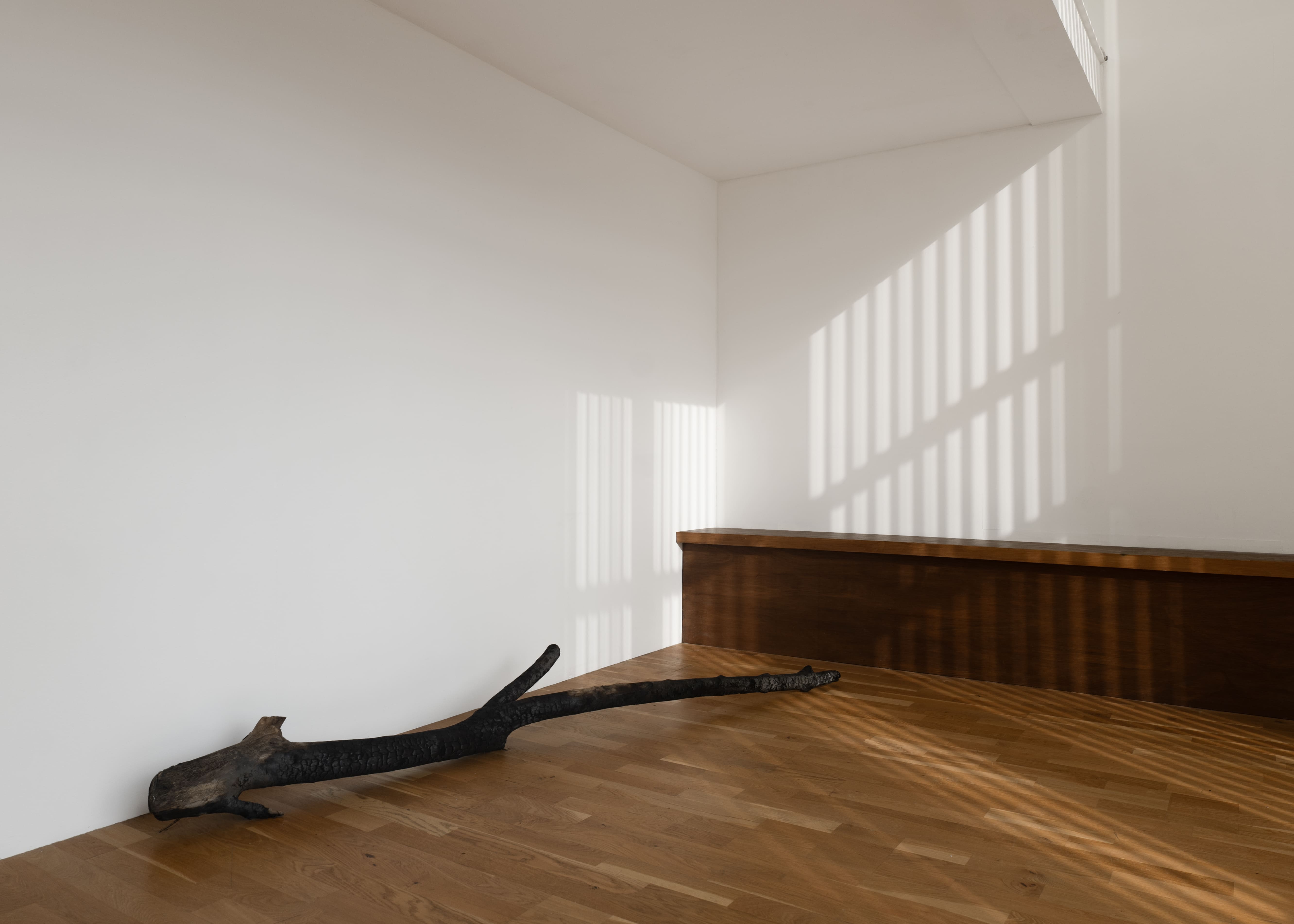 Matthew Peers, vector, 2026, Carbonised branch, 21 x 219 x 34 cm, Courtesy of the artist and Final Hot Desert.