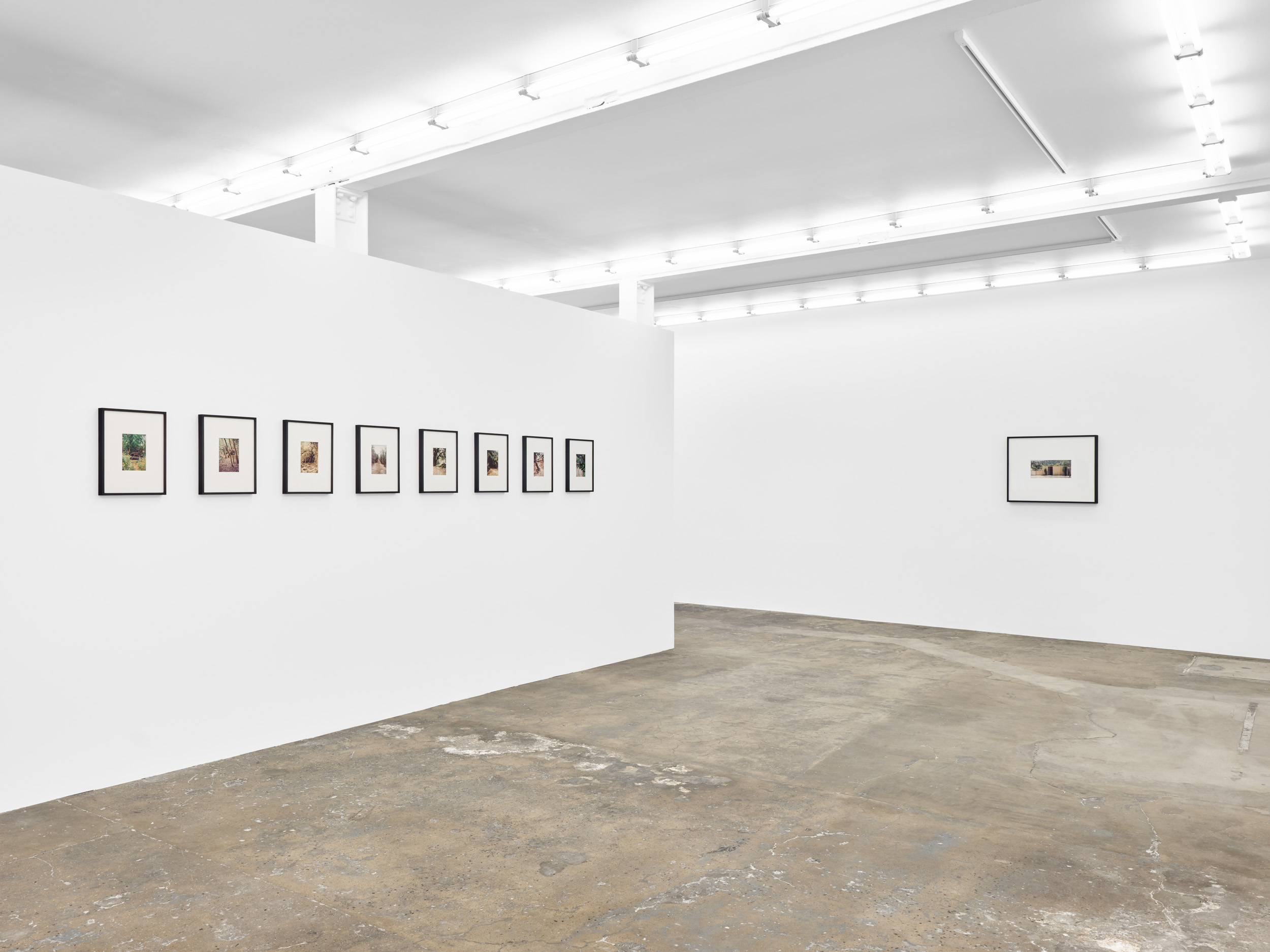 Dean Sameshima, Wonderland, 6 Minerva Street, 27 March–23 May, 2026. Courtesy of the artist and Soft Opening.