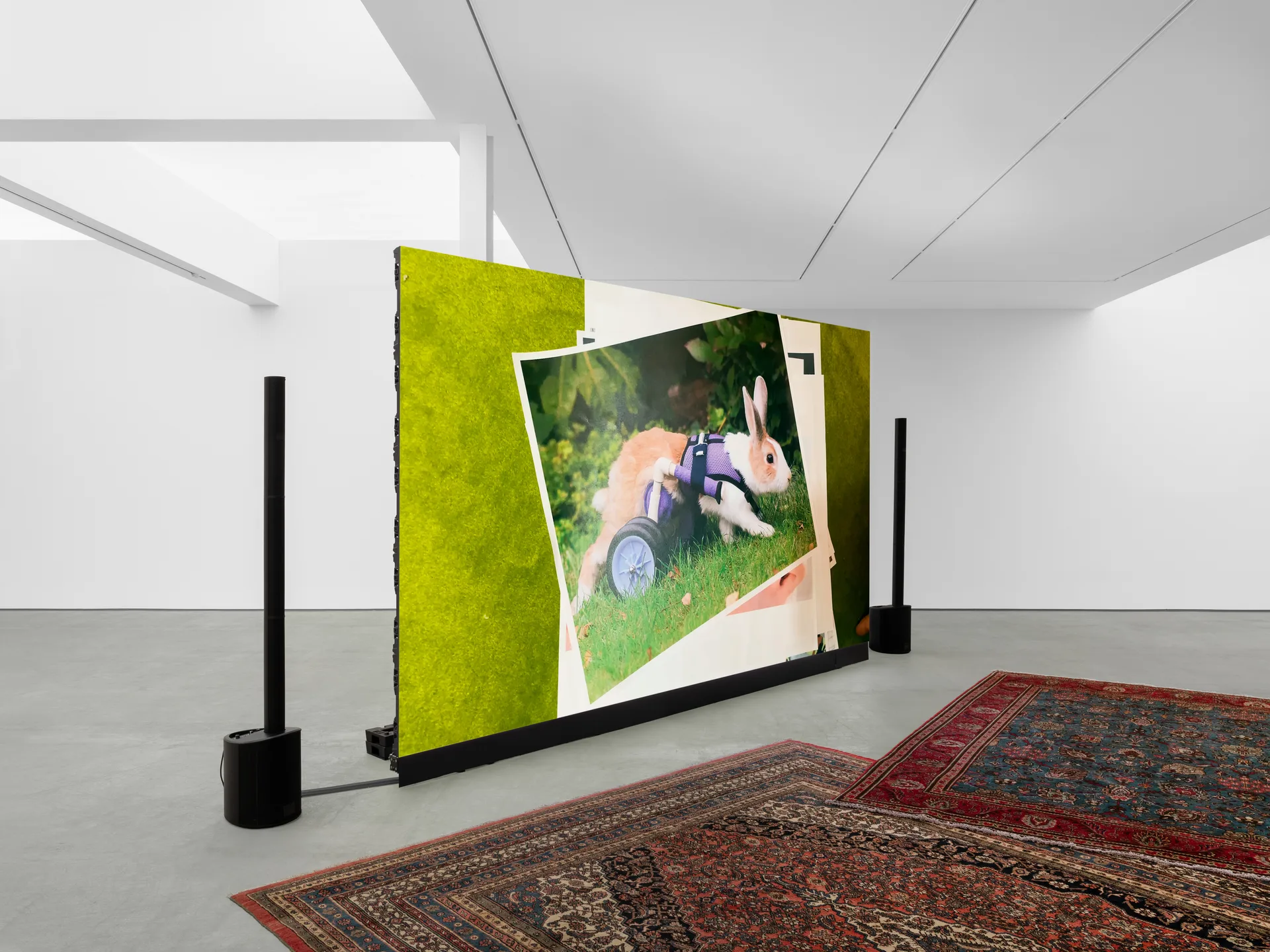 Installation View, Seth Price, 2026. Courtesy of the artist and Sadie Coles HQ.