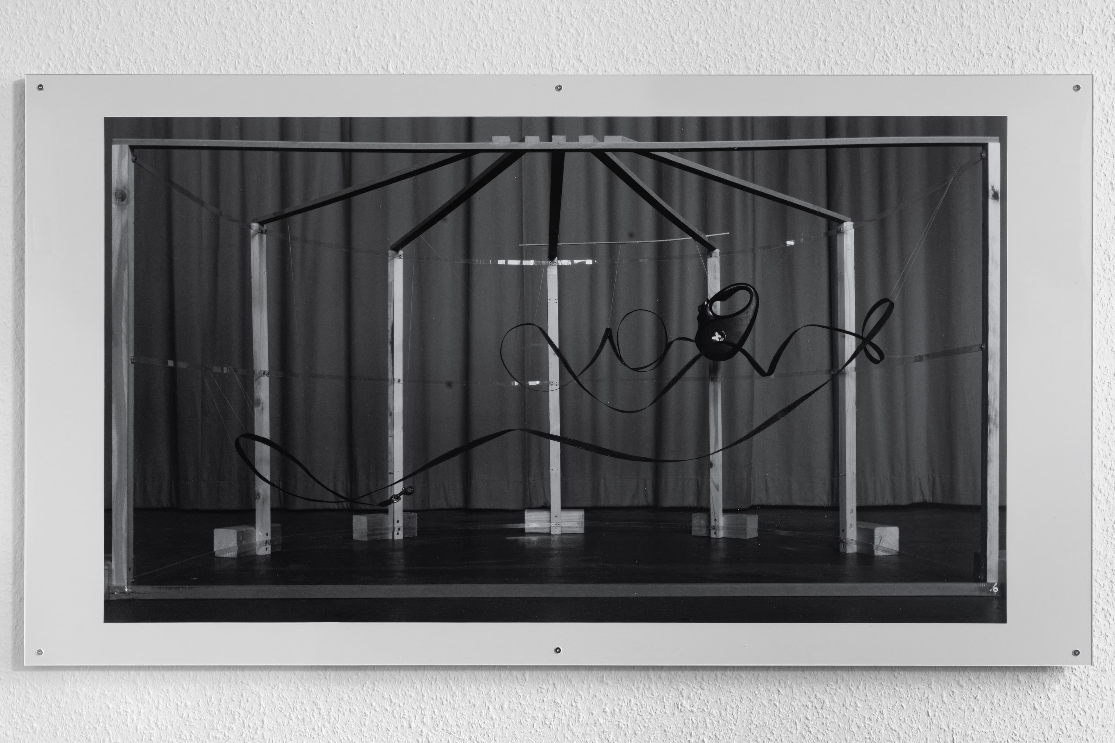 Aerin Hong, Dog Leash 5m, 2026, digital print in artist frame, 61.8 x110 cm (print), 72 x 130 cm (framed). Courtesy of the artist and Petrine.